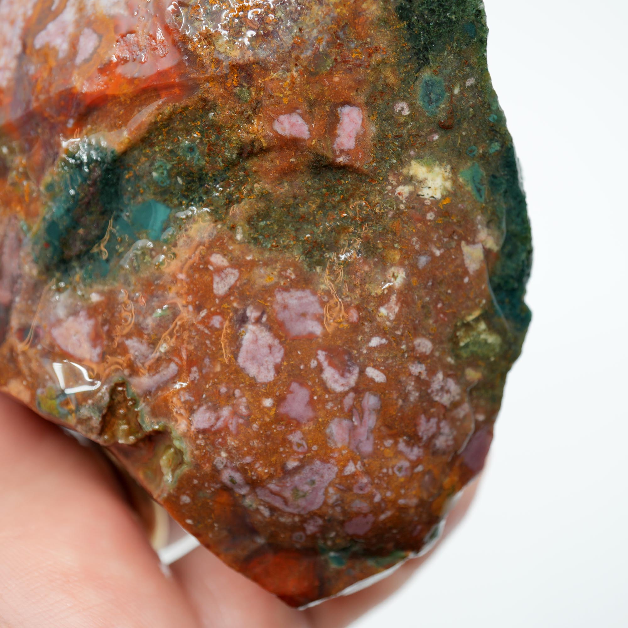 India Bloodstone Rough - Green with Light Pink and Red - Palm Stone Ready