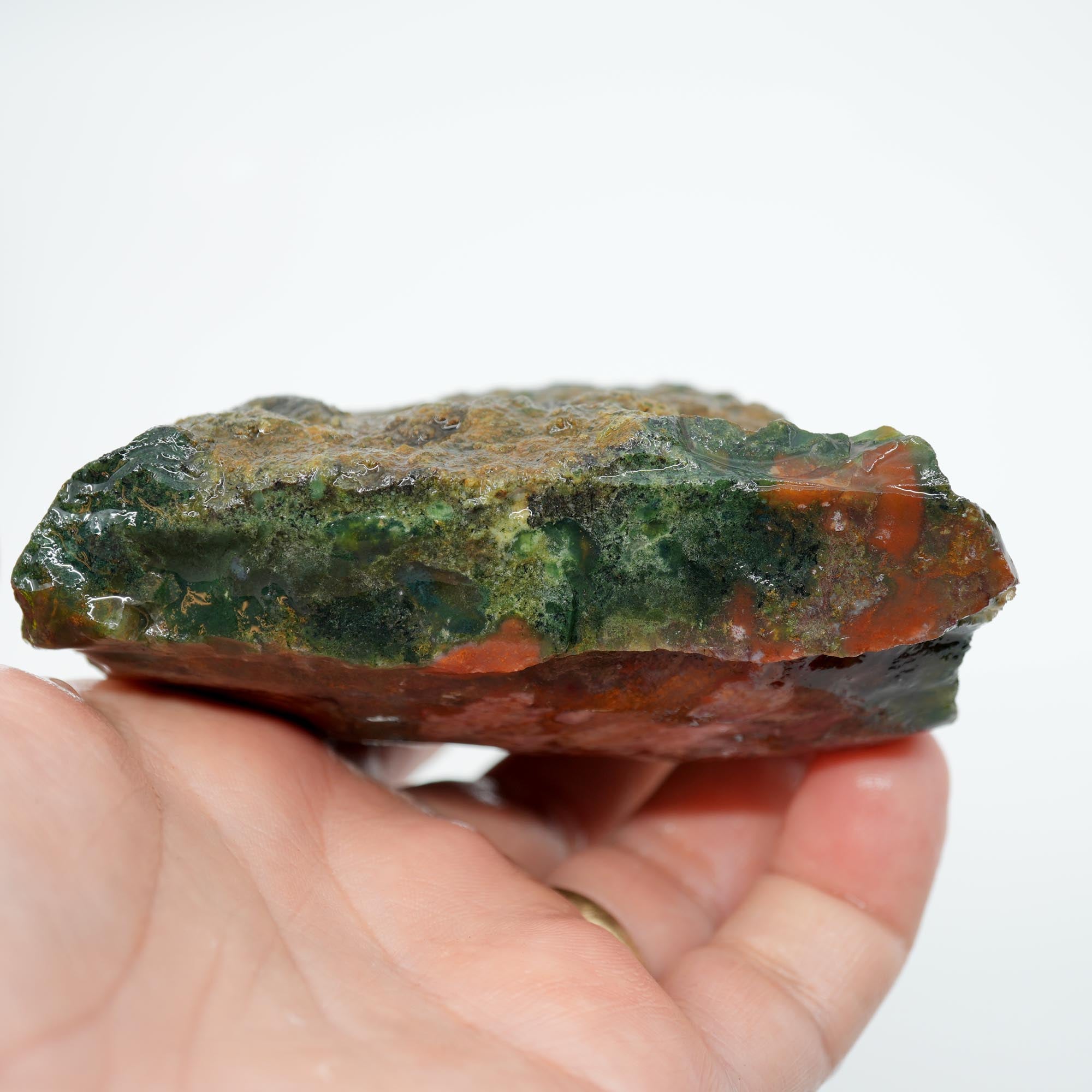 India Bloodstone Rough - Green with Light Pink and Red - Palm Stone Ready