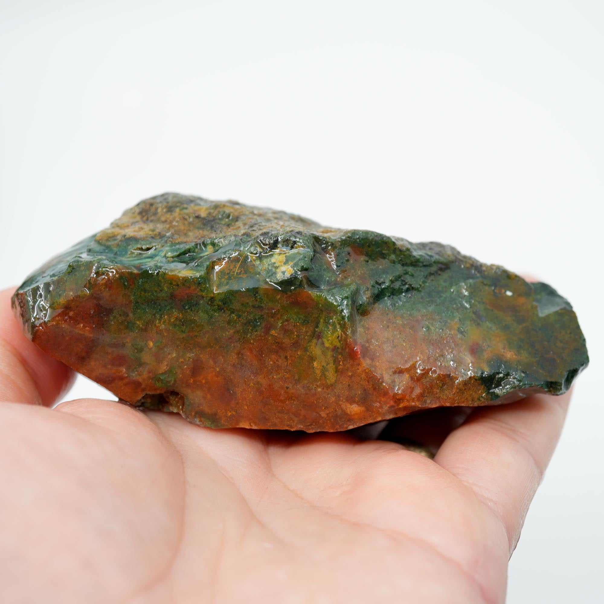 India Bloodstone Rough - Green with Light Pink and Red - Palm Stone Ready