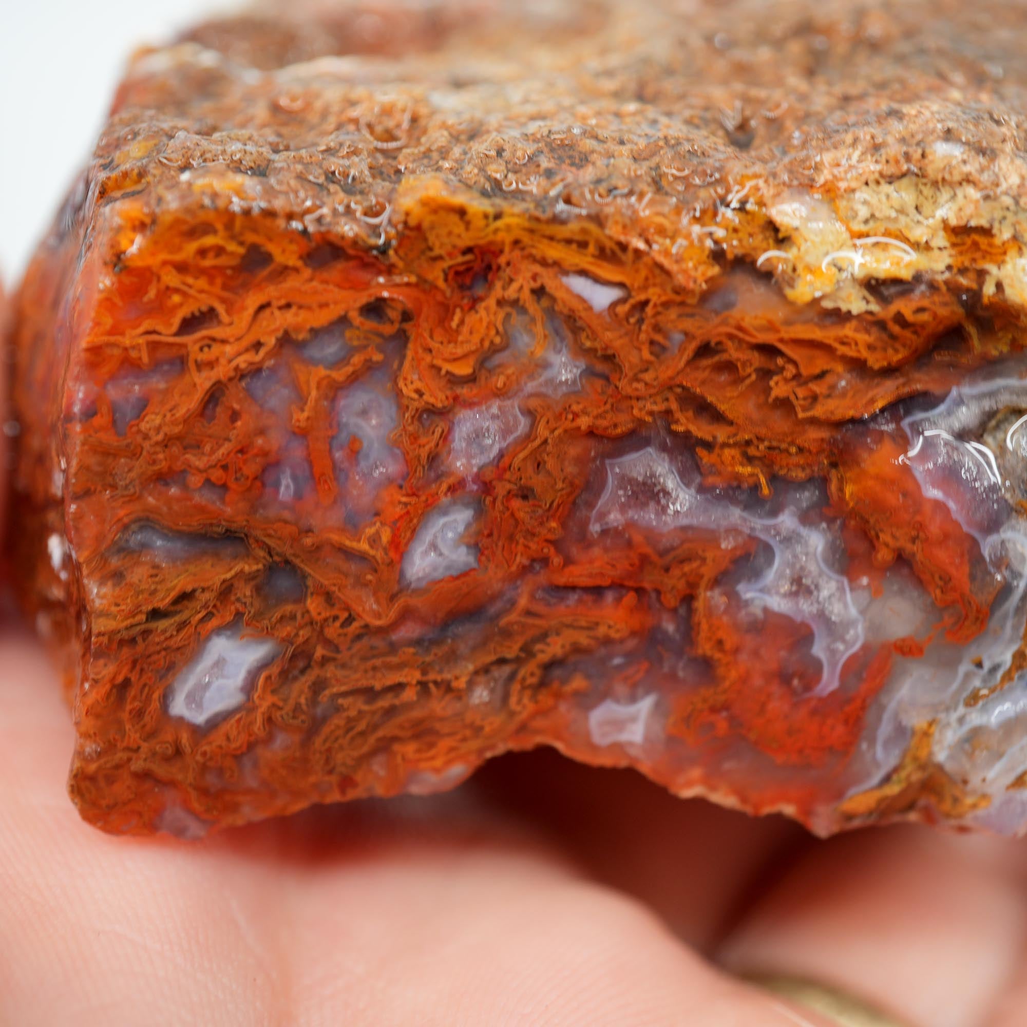 San Carlos Agate Rough - Well-Defined Orange Moss High-Grade Plate