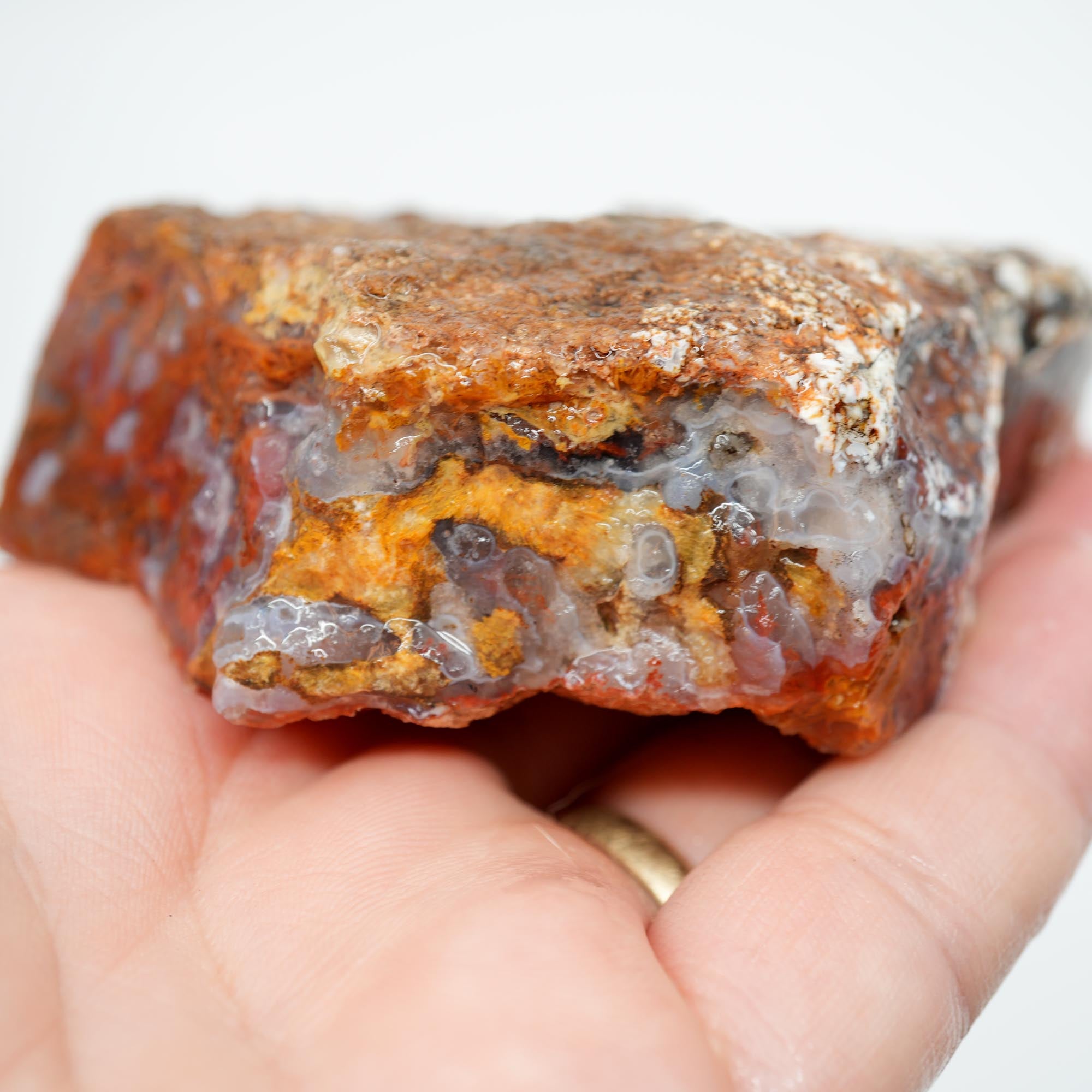 San Carlos Agate Rough - Well-Defined Orange Moss High-Grade Plate