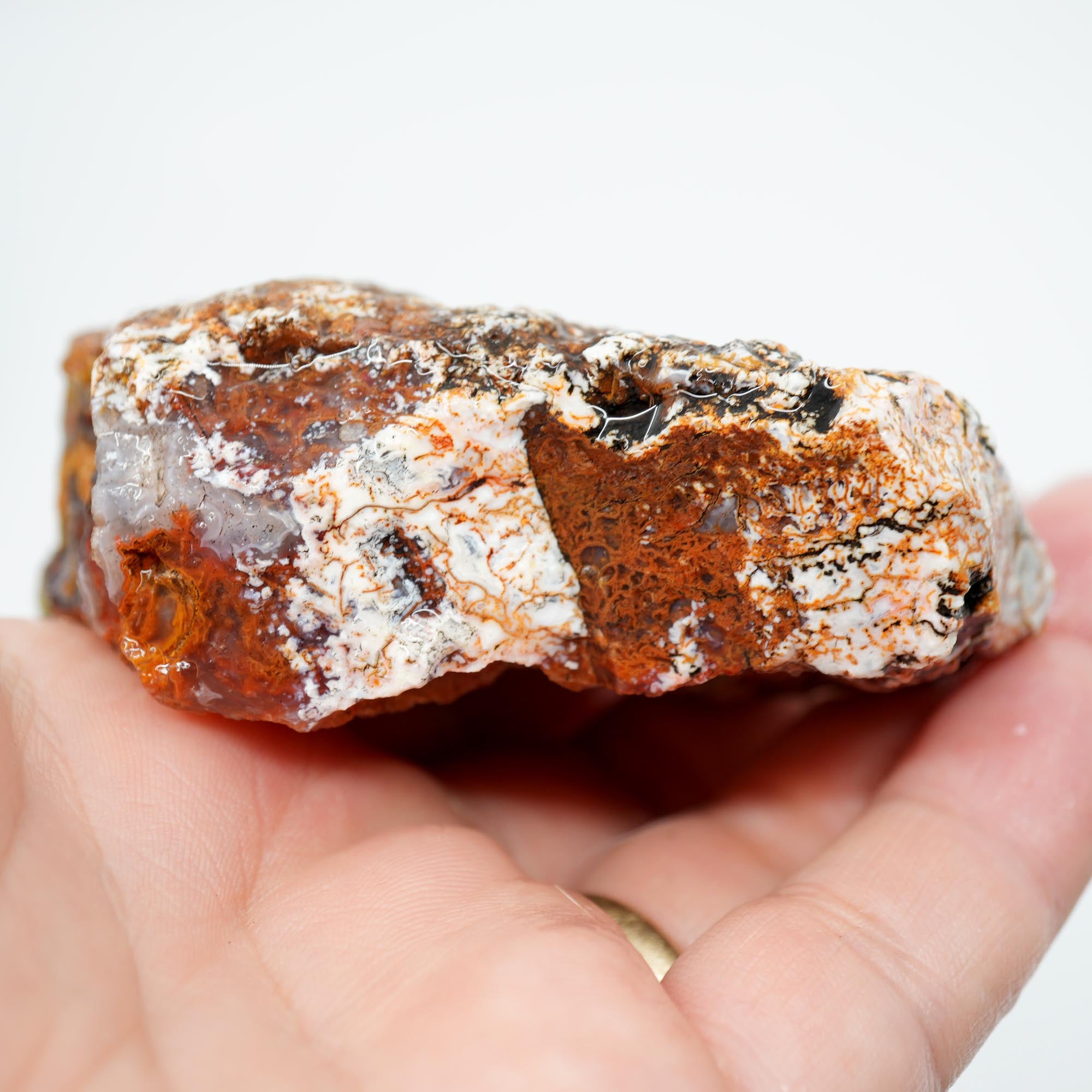 San Carlos Agate Rough - Well-Defined Orange Moss High-Grade Plate
