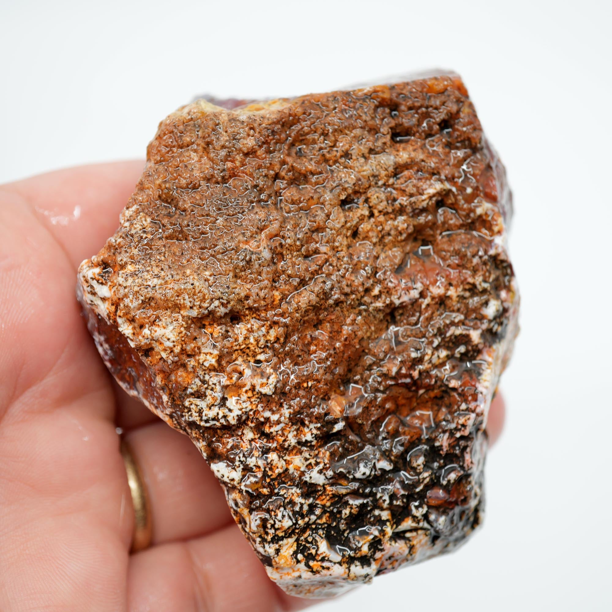 San Carlos Agate Rough - Well-Defined Orange Moss High-Grade Plate