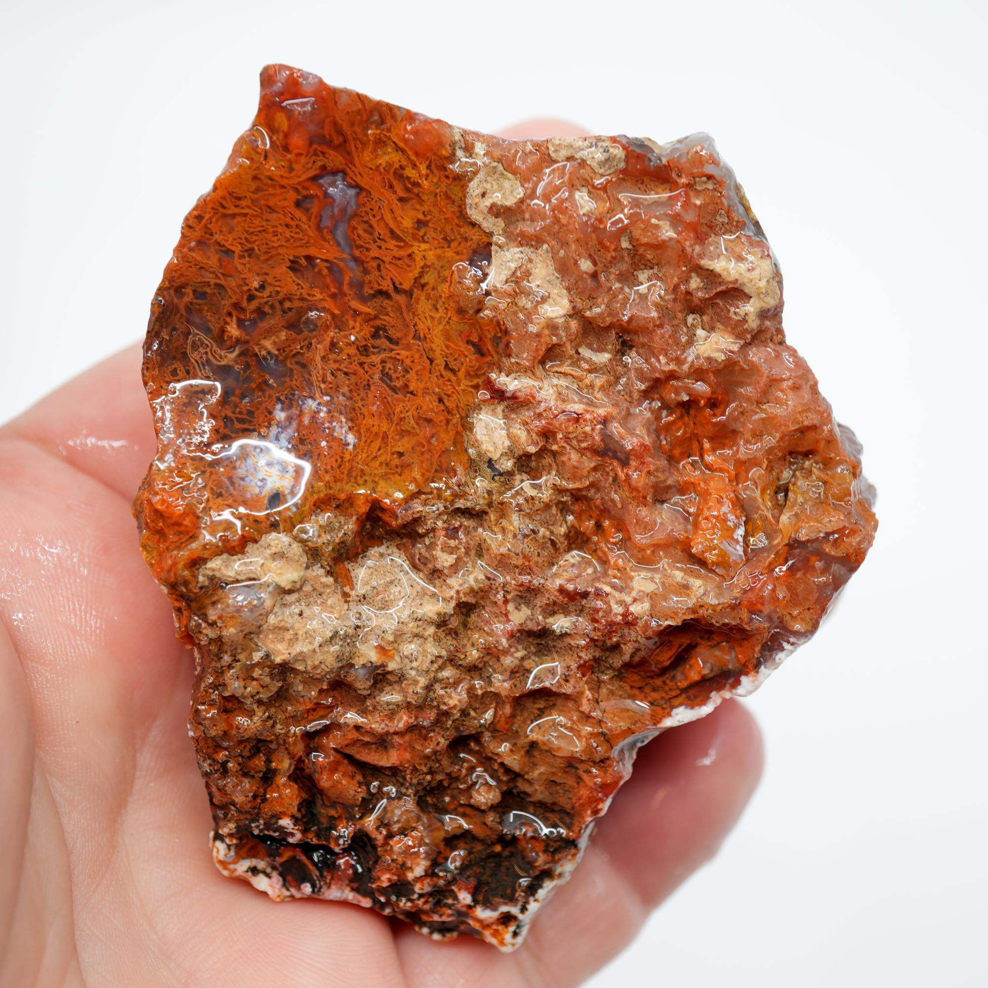San Carlos Agate Rough - Well-Defined Orange Moss High-Grade Plate