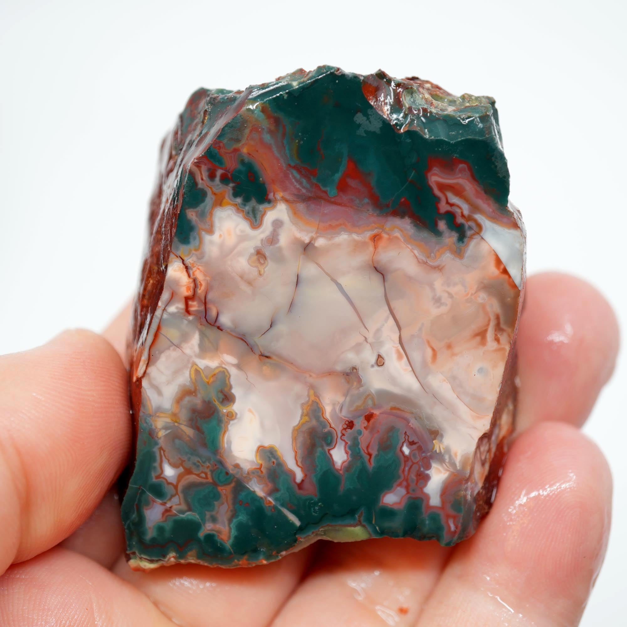 Idaho Sunset Jasper Endcut - Bright Green Plume with Sunset Red Display