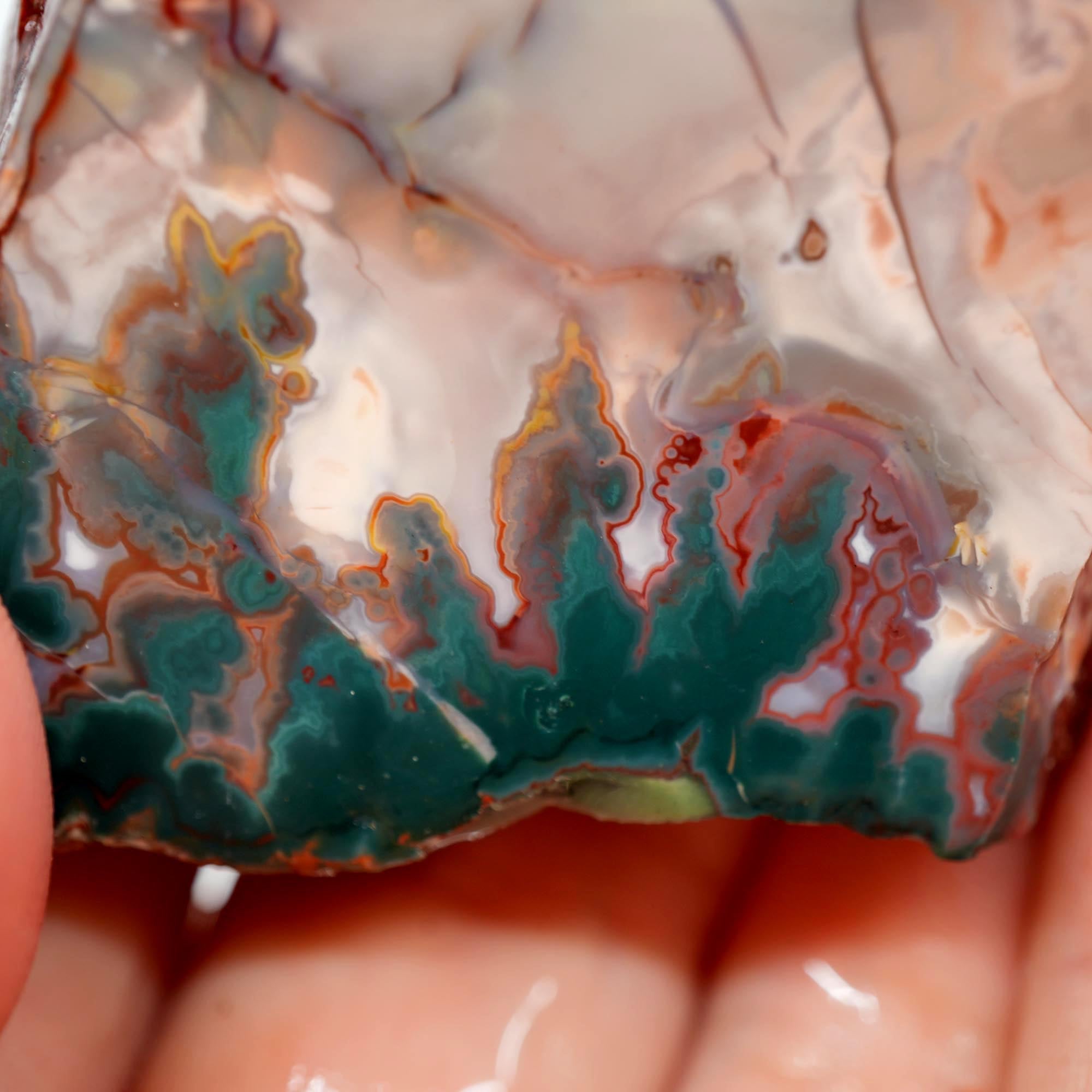 Idaho Sunset Jasper Endcut - Bright Green Plume with Sunset Red Display