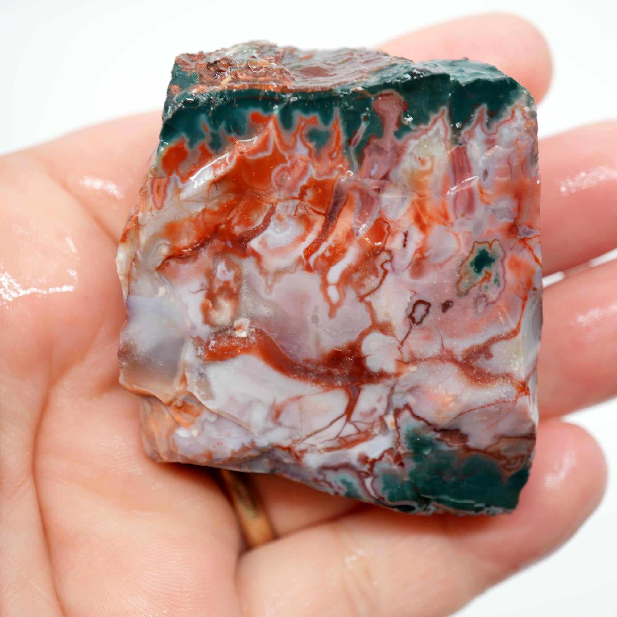 Idaho Sunset Jasper Endcut - Bright Green Plume with Sunset Red Display