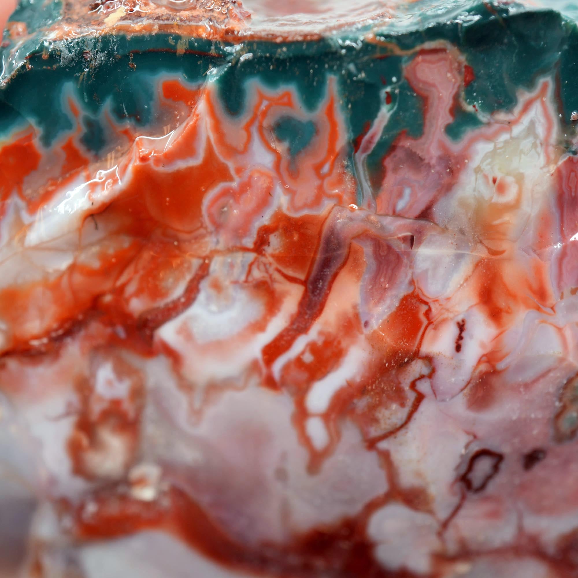 Idaho Sunset Jasper Endcut - Bright Green Plume with Sunset Red Display