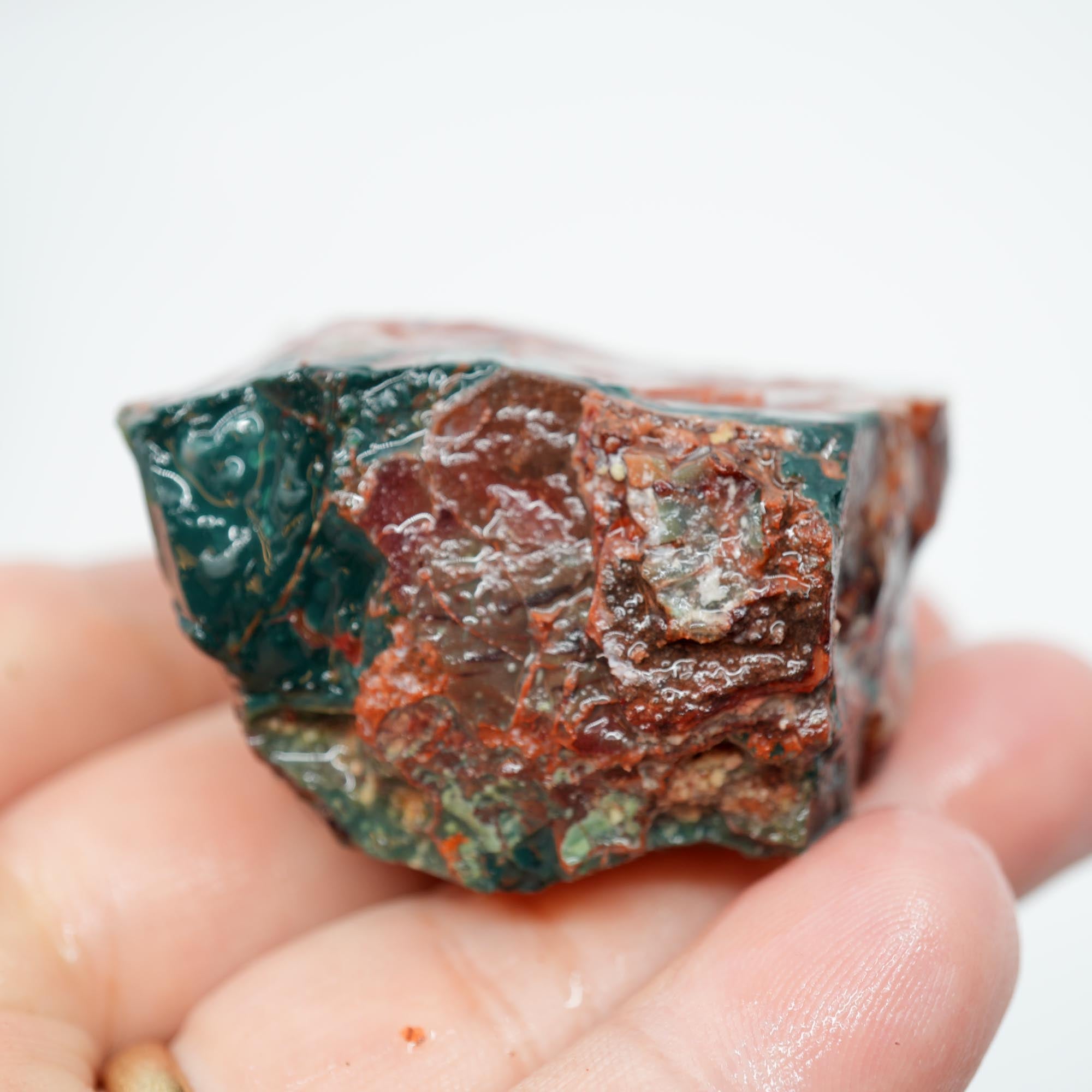 Idaho Sunset Jasper Endcut - Bright Green Plume with Sunset Red Display