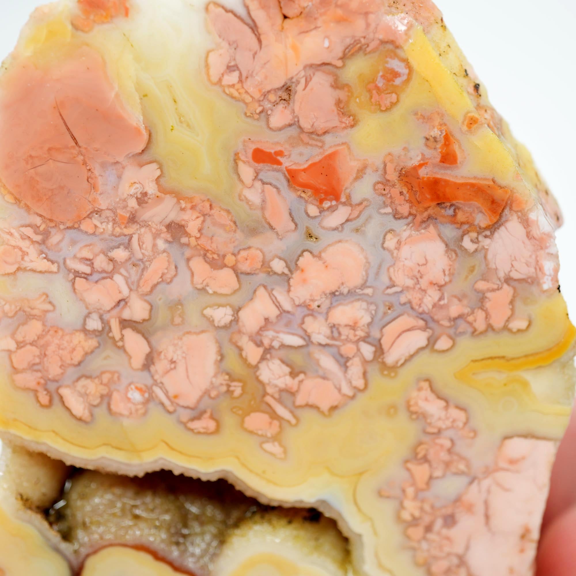 Cotton Candy Agate Endcut - Yellow Fortification with Through Druzy Pocket
