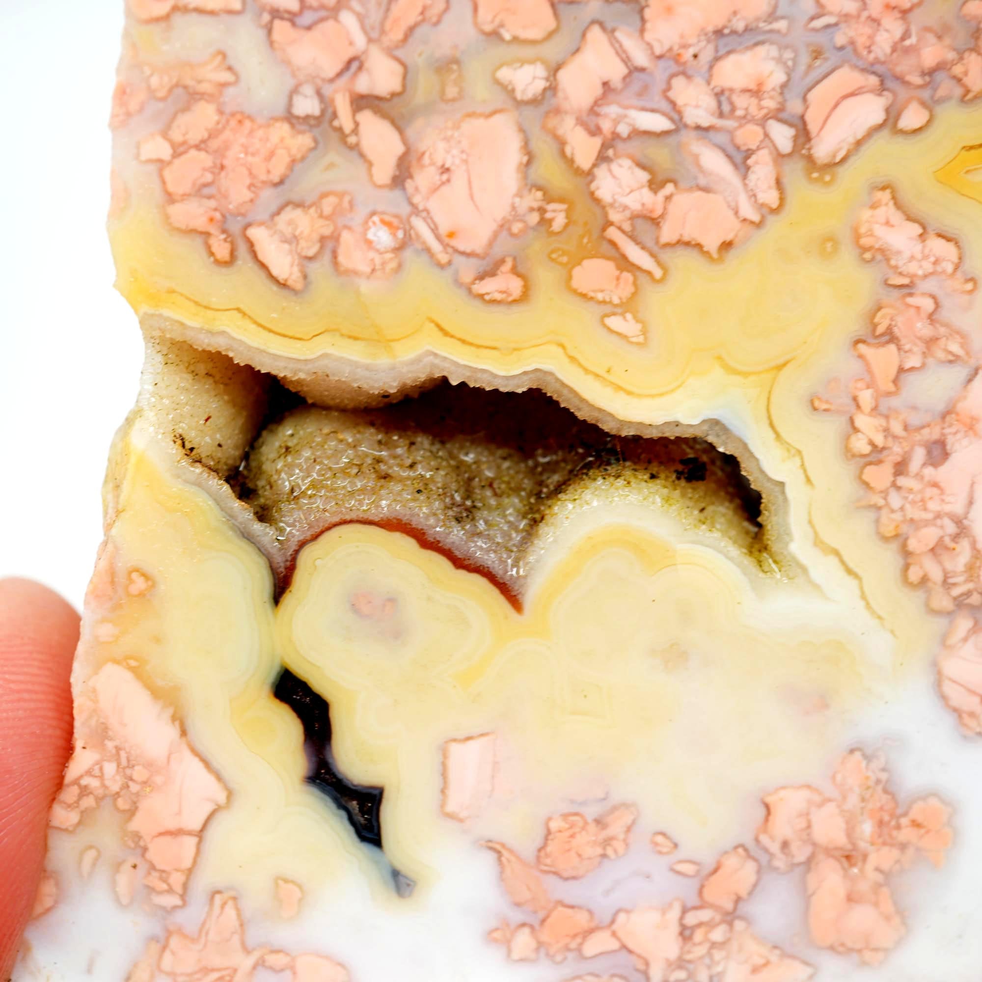 Cotton Candy Agate Endcut - Yellow Fortification with Through Druzy Pocket