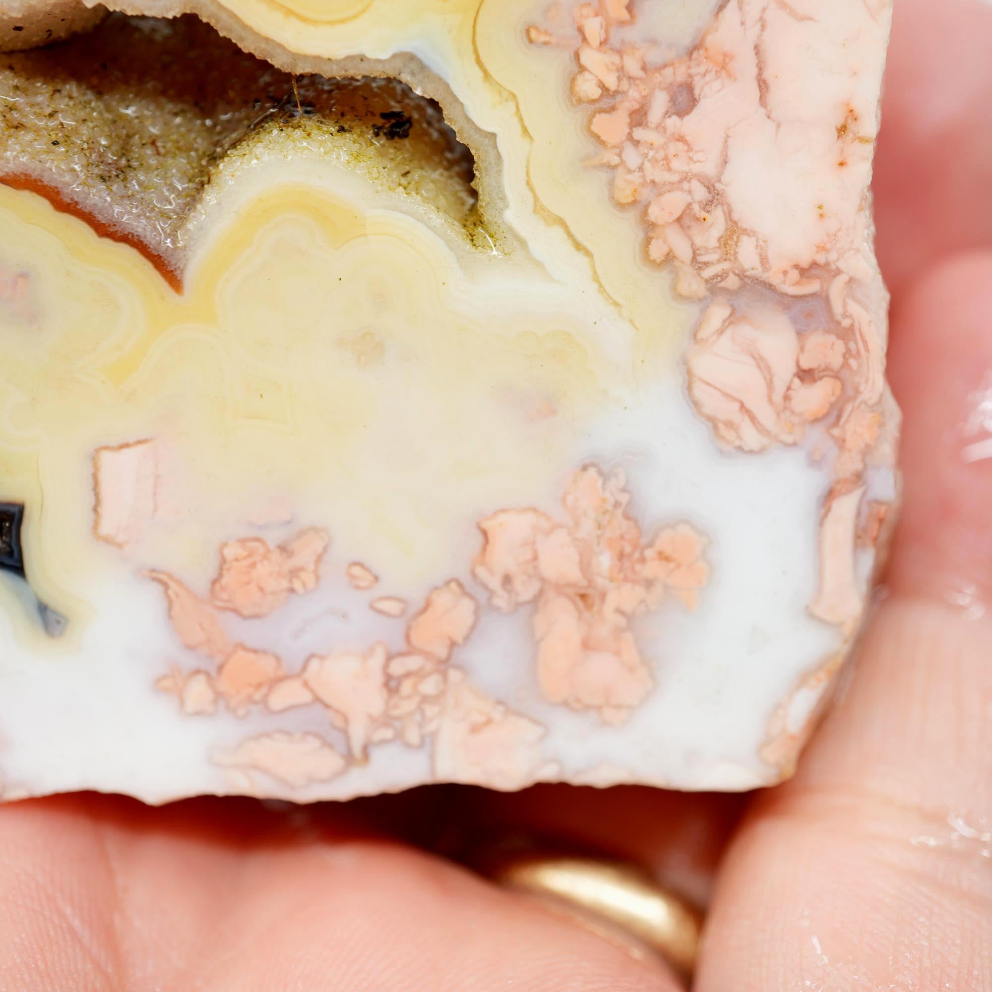 Cotton Candy Agate Endcut - Yellow Fortification with Through Druzy Pocket