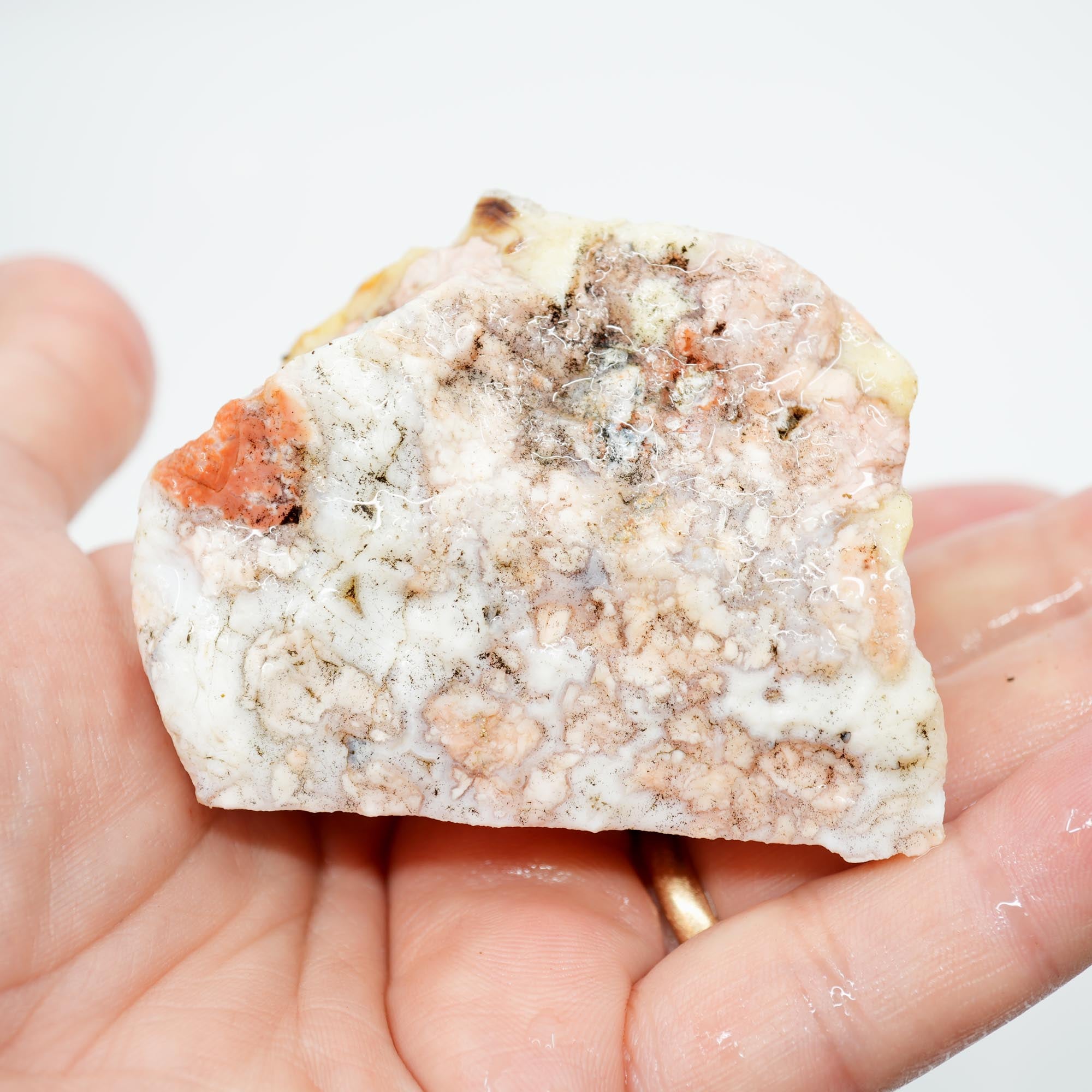 Cotton Candy Agate Endcut - Yellow Fortification with Through Druzy Pocket