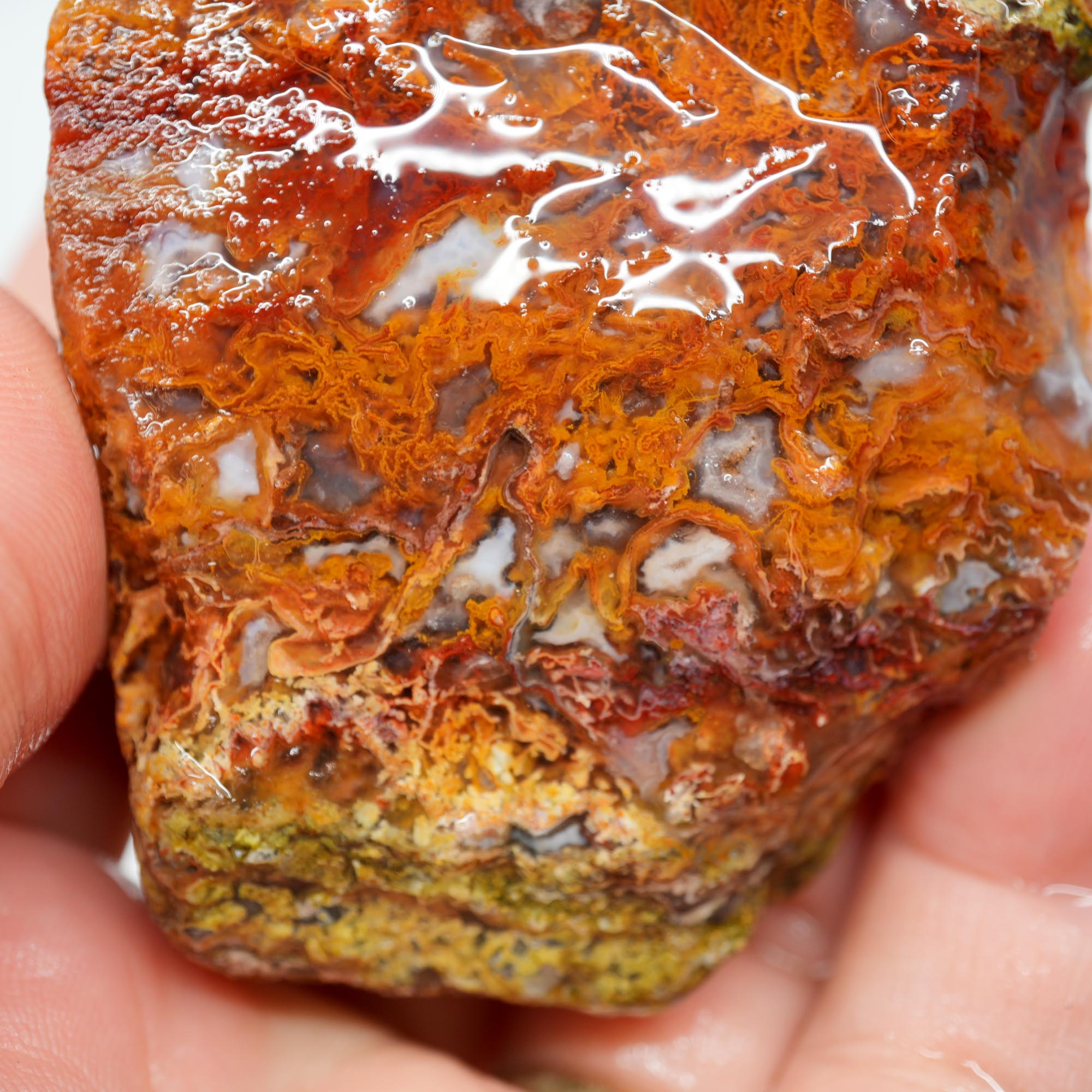 San Carlos Agate Rough - Orange with Blue Agate and Red Moss