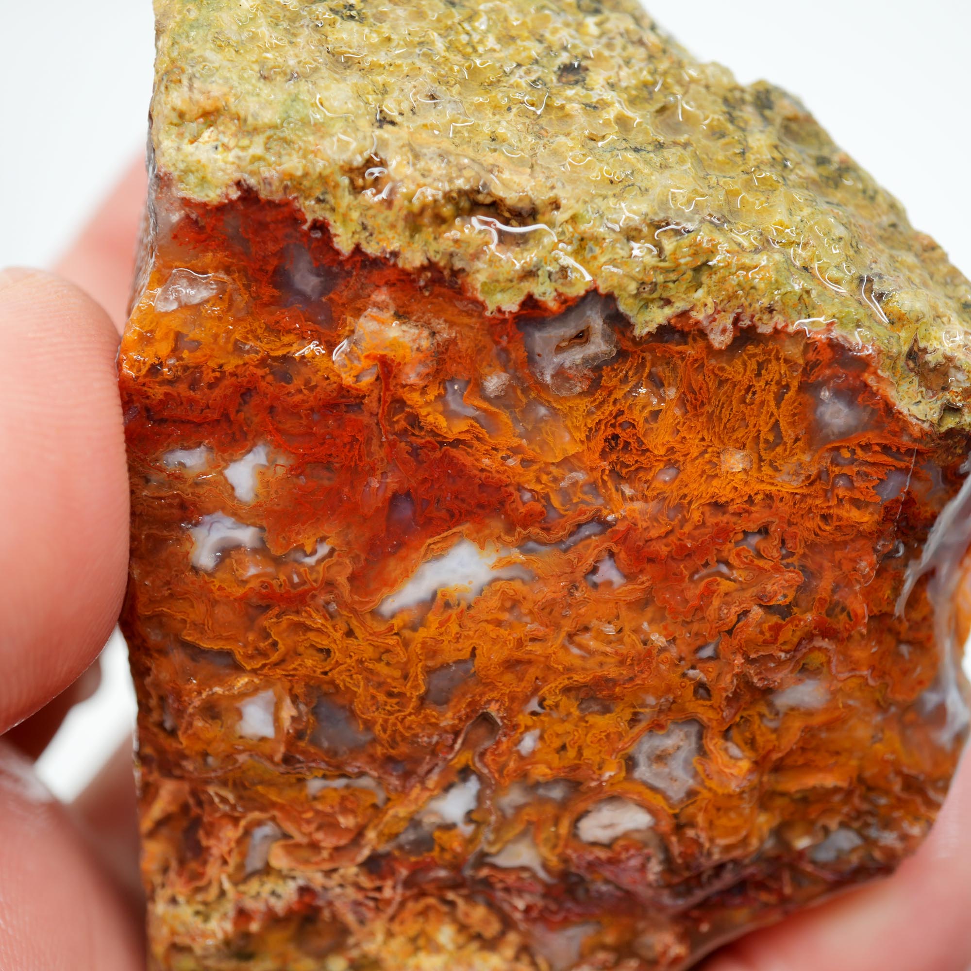 San Carlos Agate Rough - Orange with Blue Agate and Red Moss