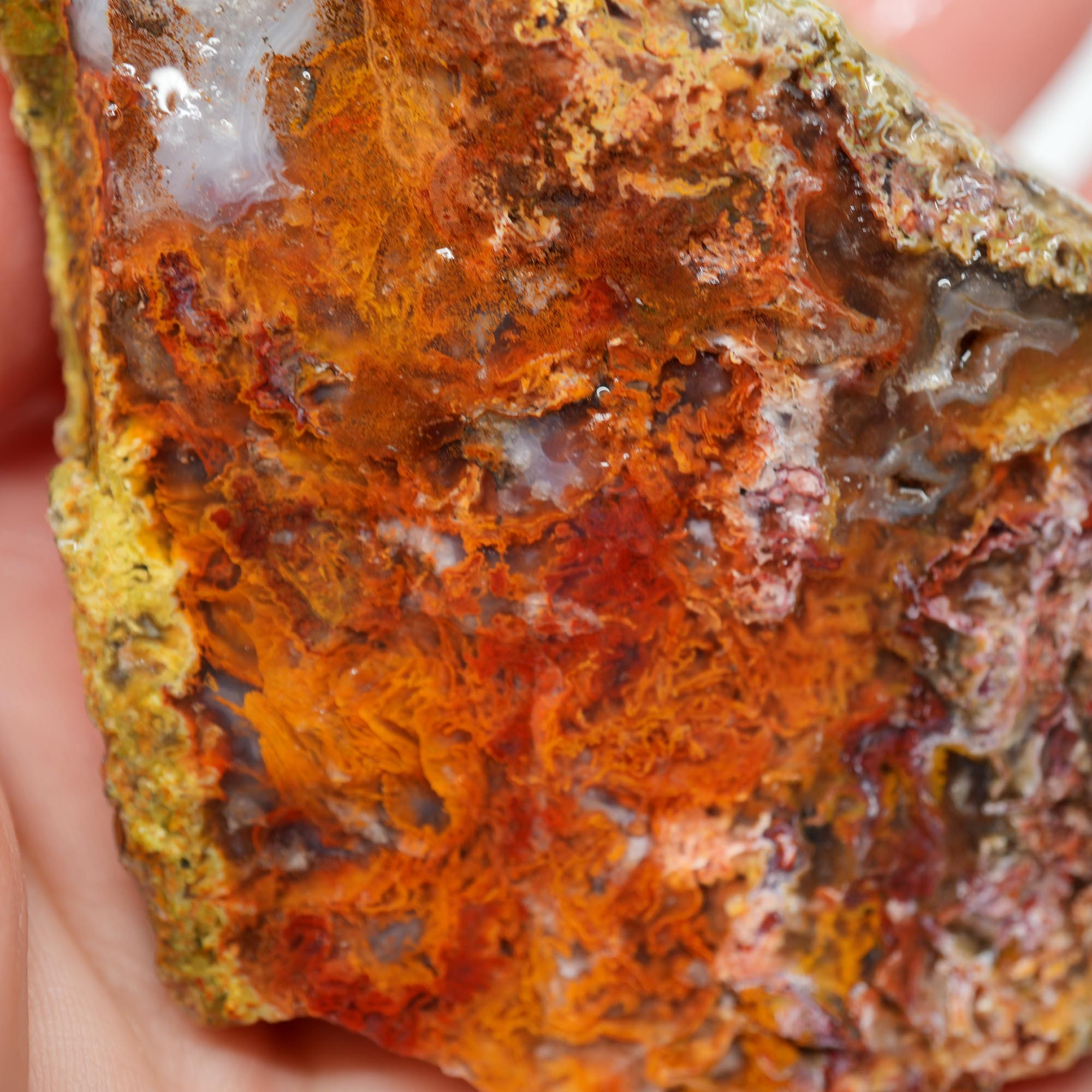 San Carlos Agate Rough - Orange with Blue Agate and Red Moss