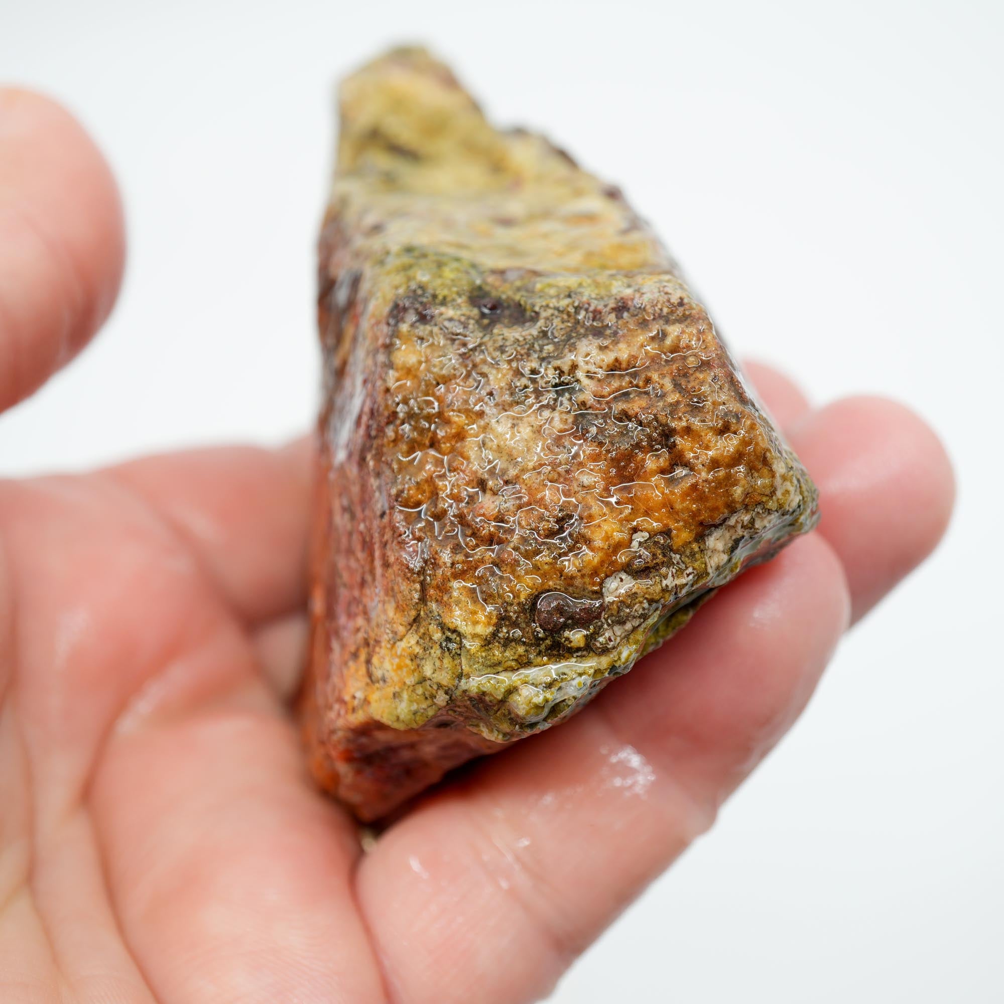 San Carlos Agate Rough - Orange with Blue Agate and Red Moss