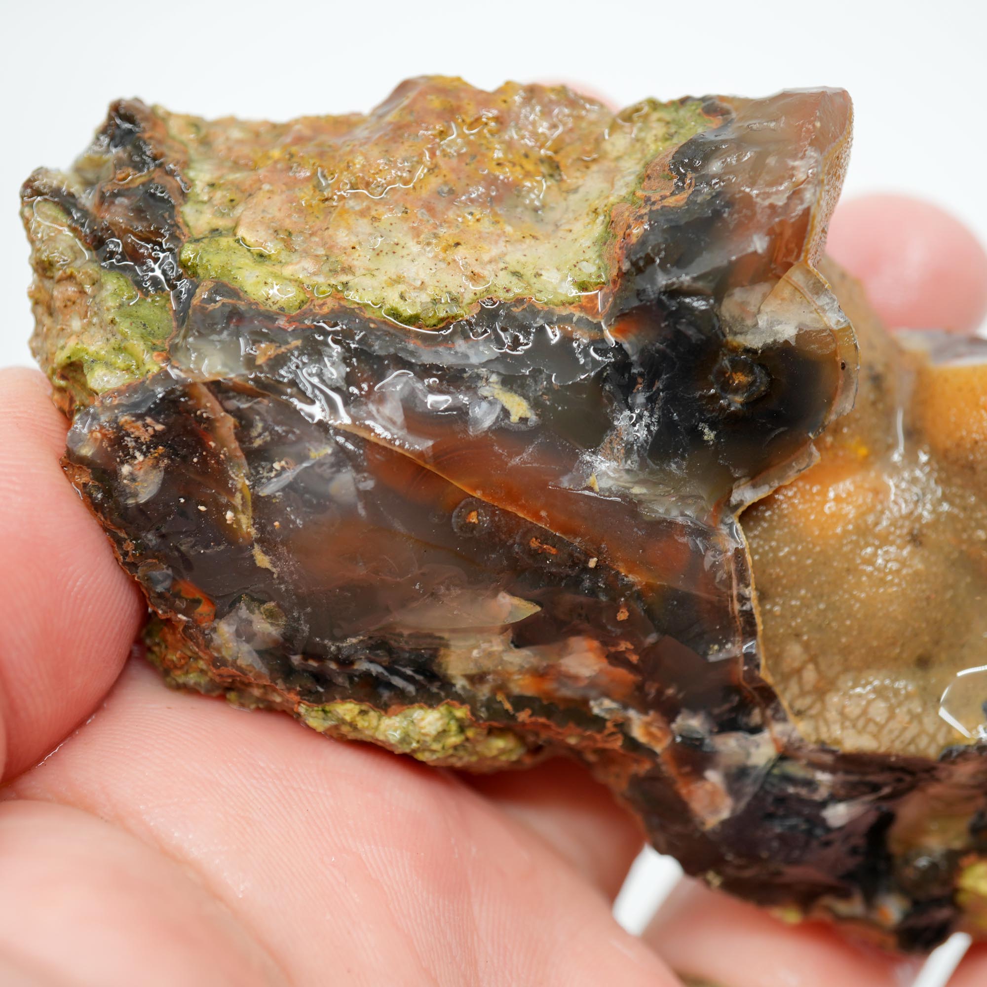 Mystery Agate Rough - Partial Thunderegg with Botryoidal Center