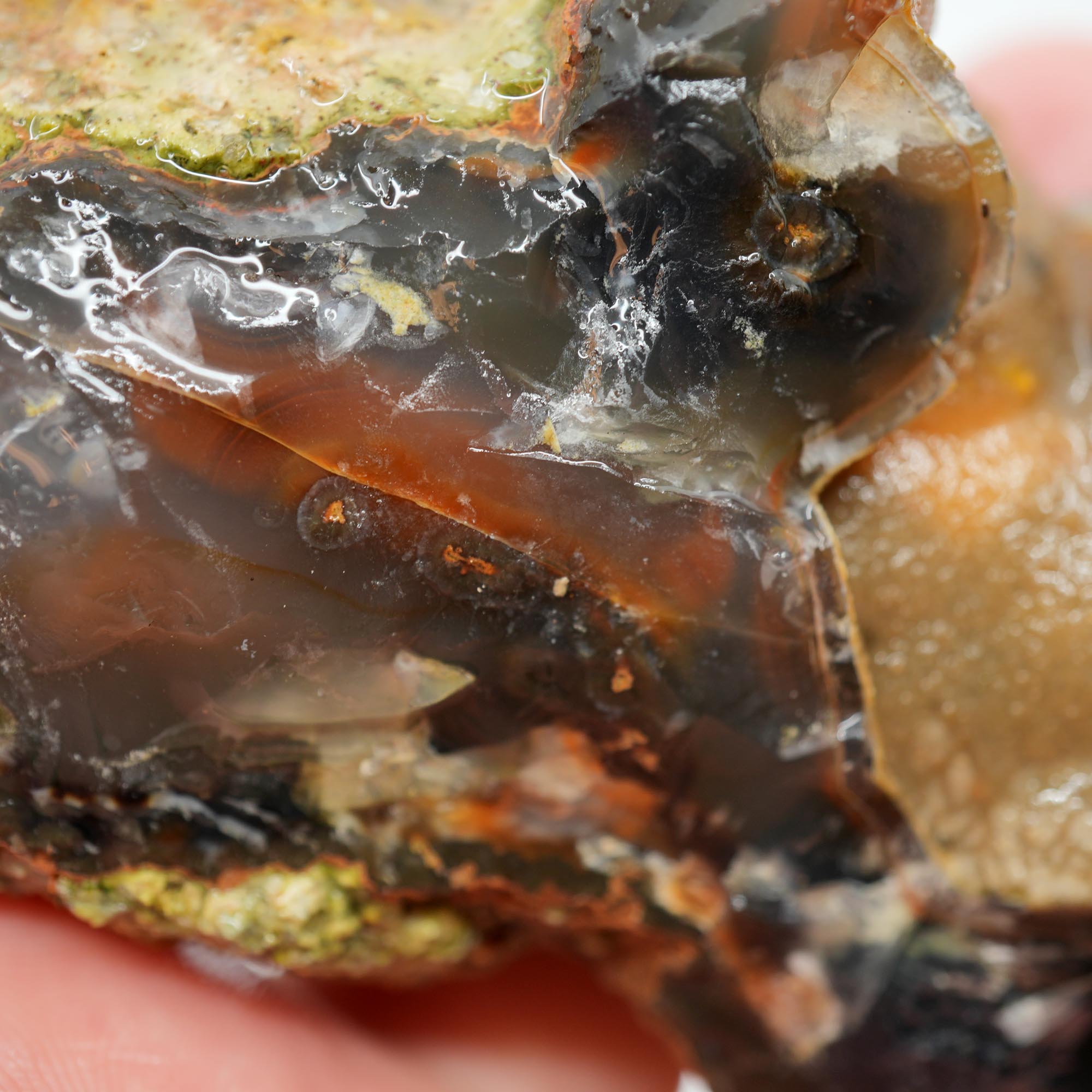 Mystery Agate Rough - Partial Thunderegg with Botryoidal Center