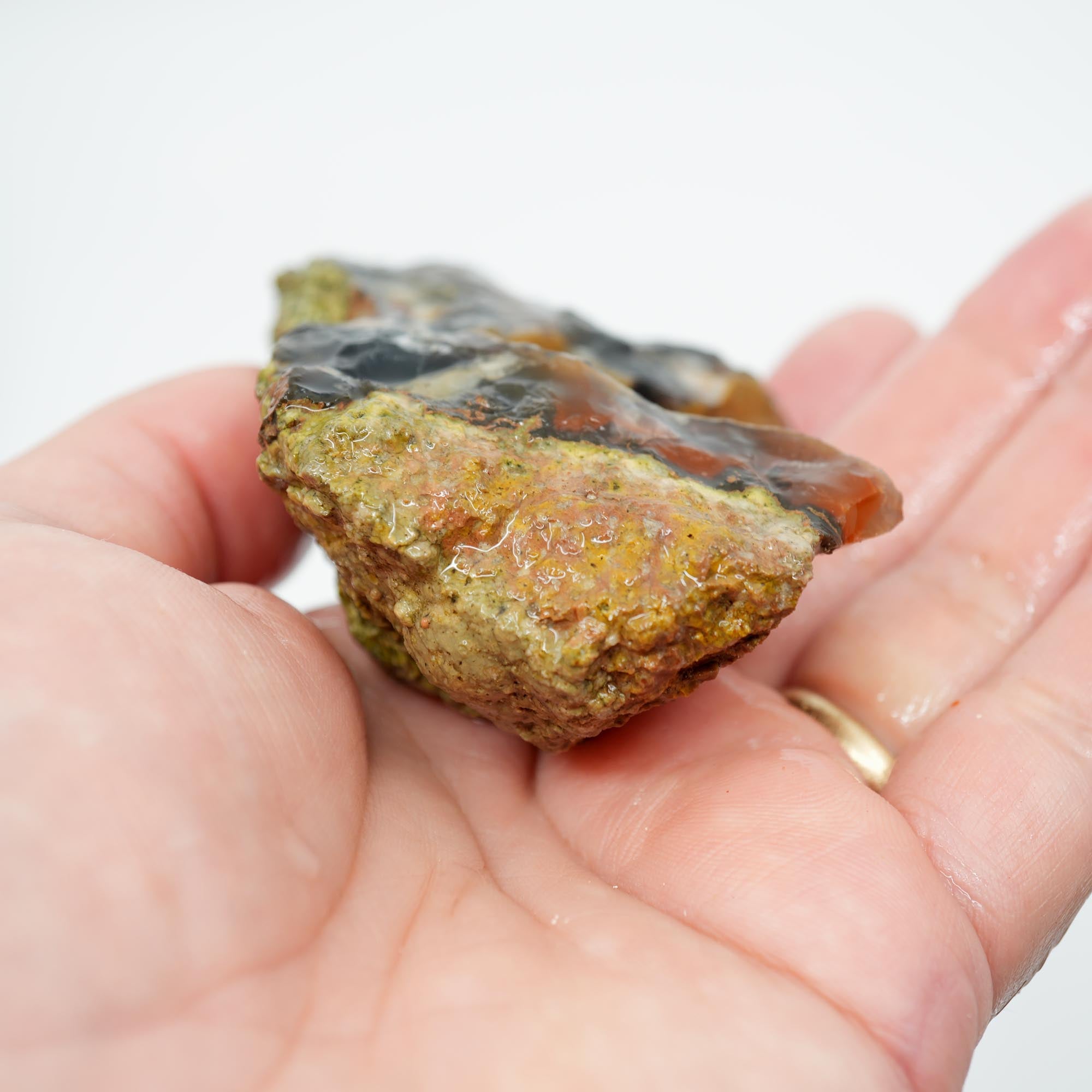 Mystery Agate Rough - Partial Thunderegg with Botryoidal Center