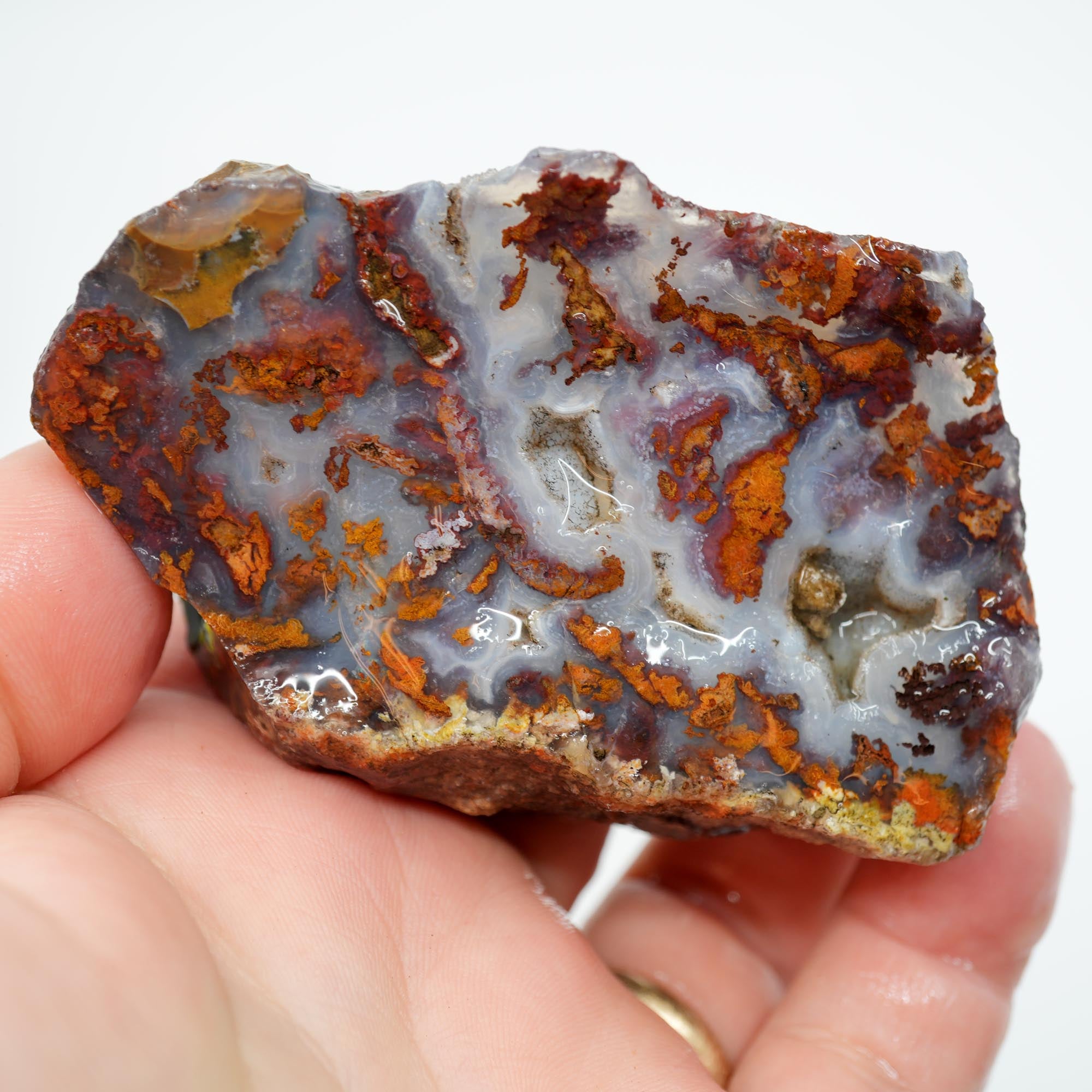 San Carlos Agate Rough - Brown Blue Orange with Botryoidal Top