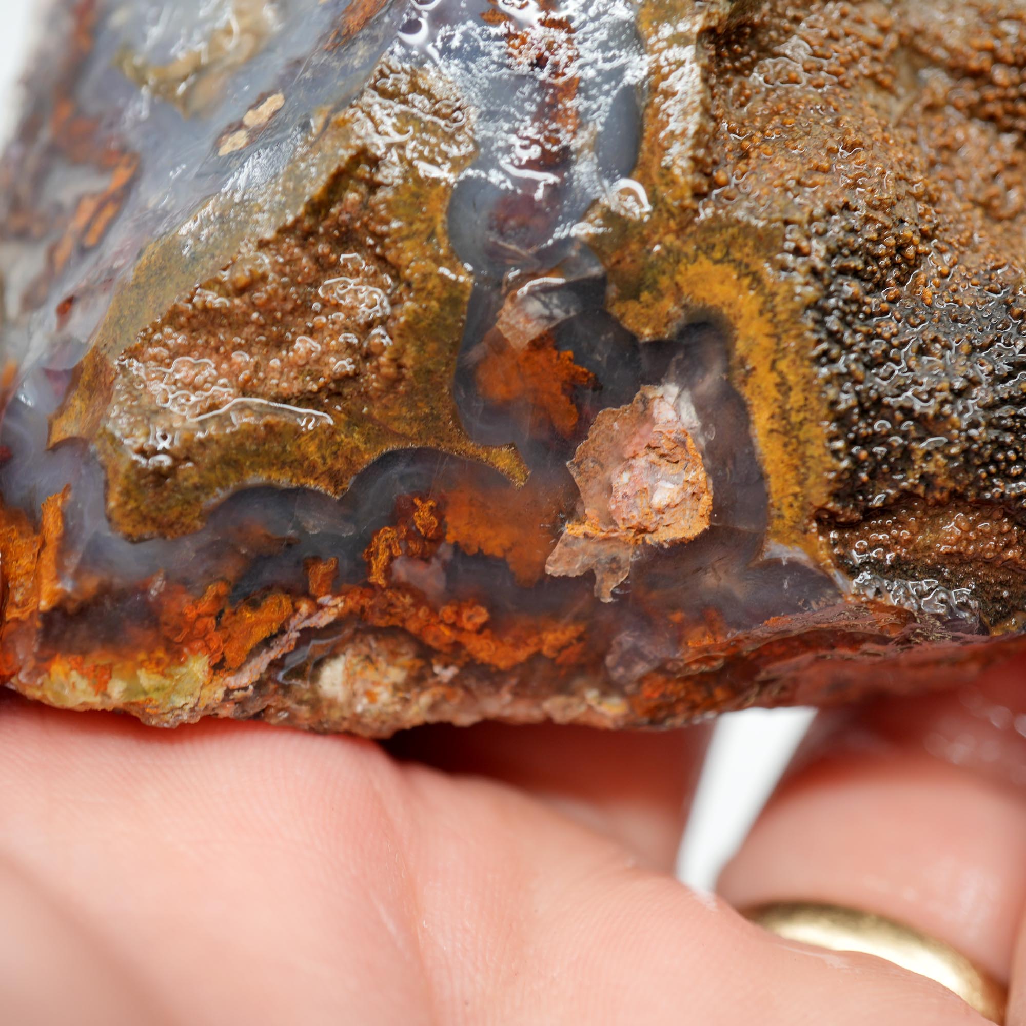 San Carlos Agate Rough - Brown Blue Orange with Botryoidal Top