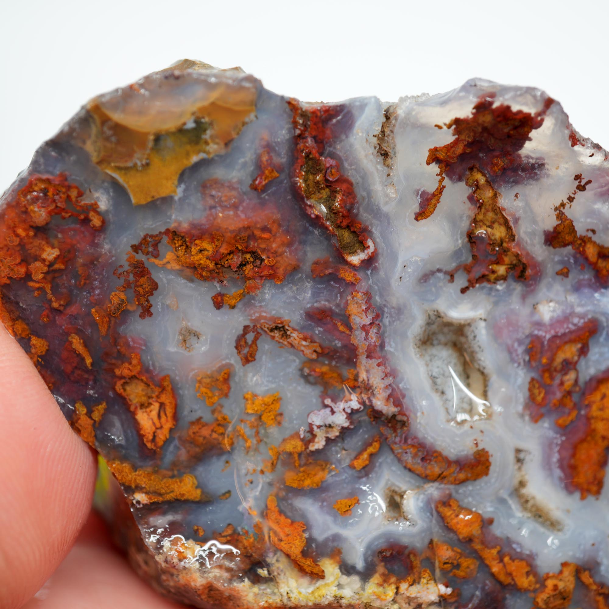 San Carlos Agate Rough - Brown Blue Orange with Botryoidal Top