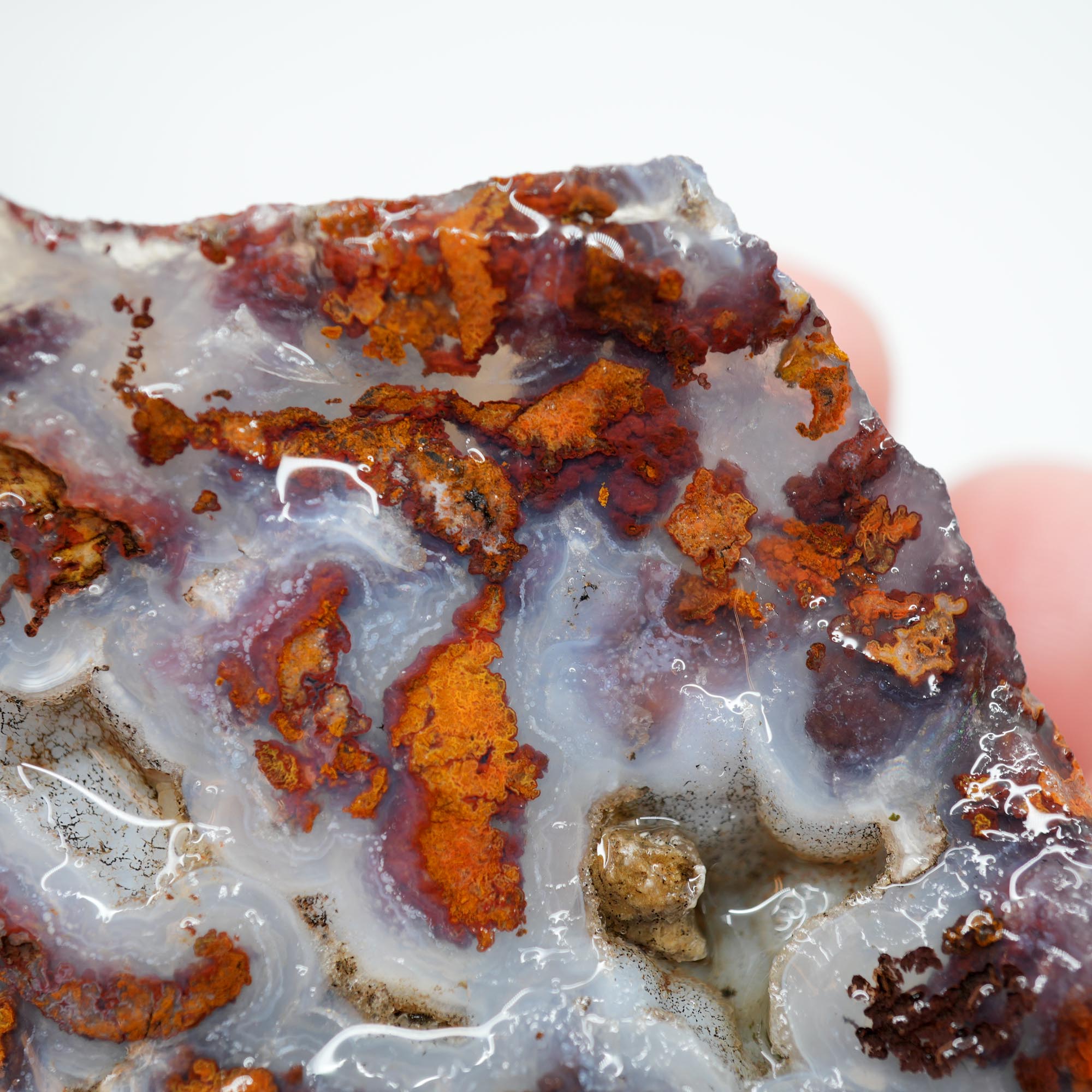 San Carlos Agate Rough - Brown Blue Orange with Botryoidal Top