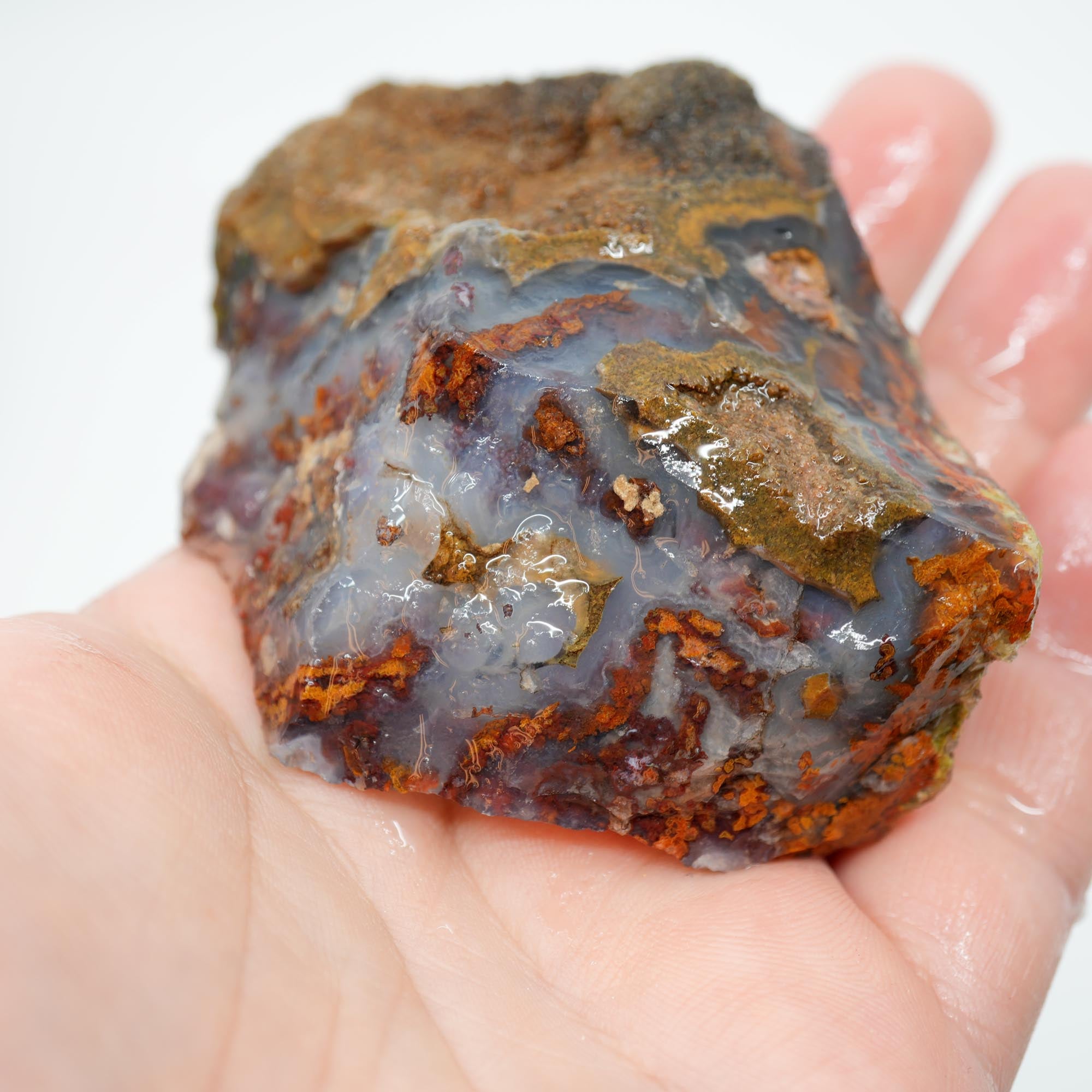 San Carlos Agate Rough - Brown Blue Orange with Botryoidal Top