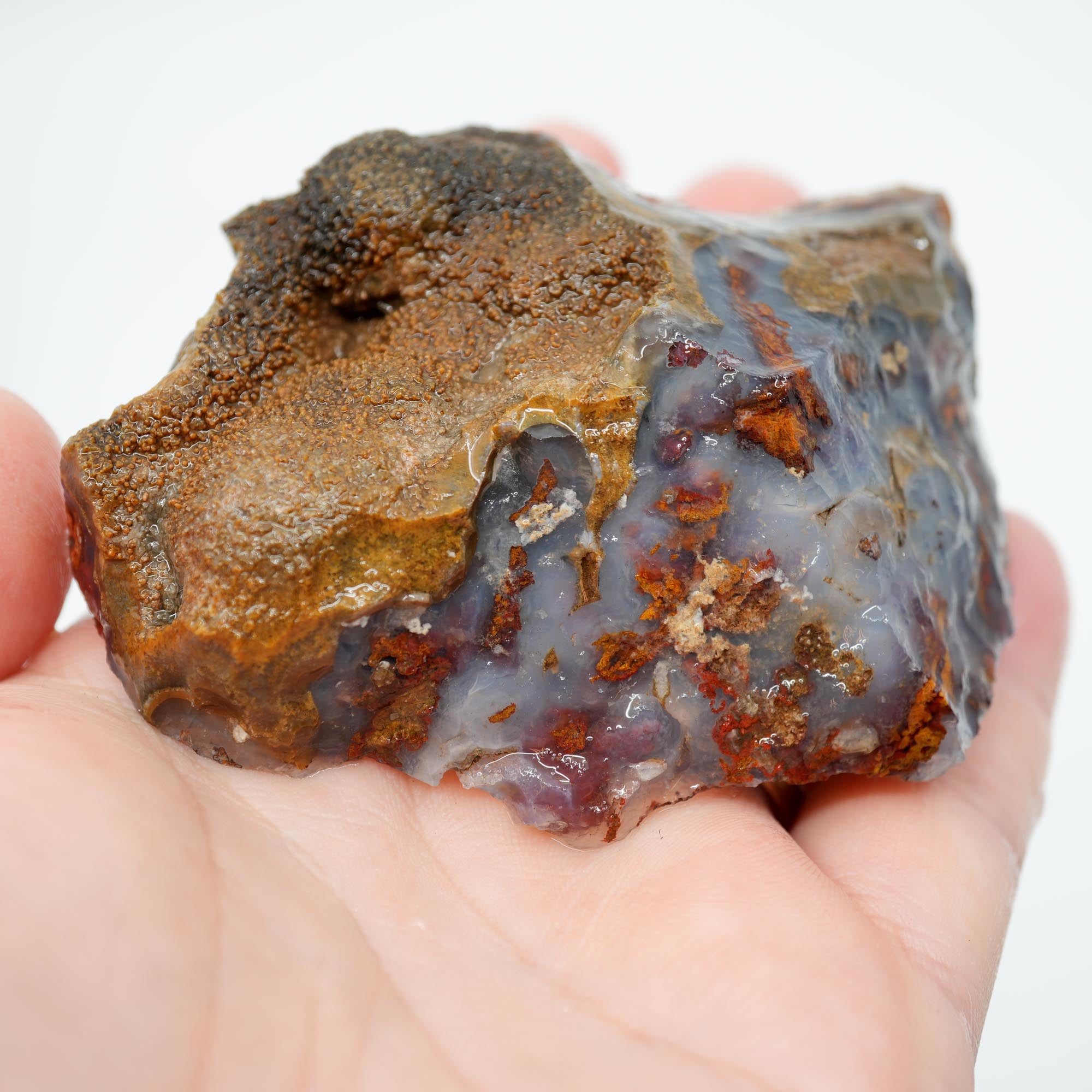 San Carlos Agate Rough - Brown Blue Orange with Botryoidal Top