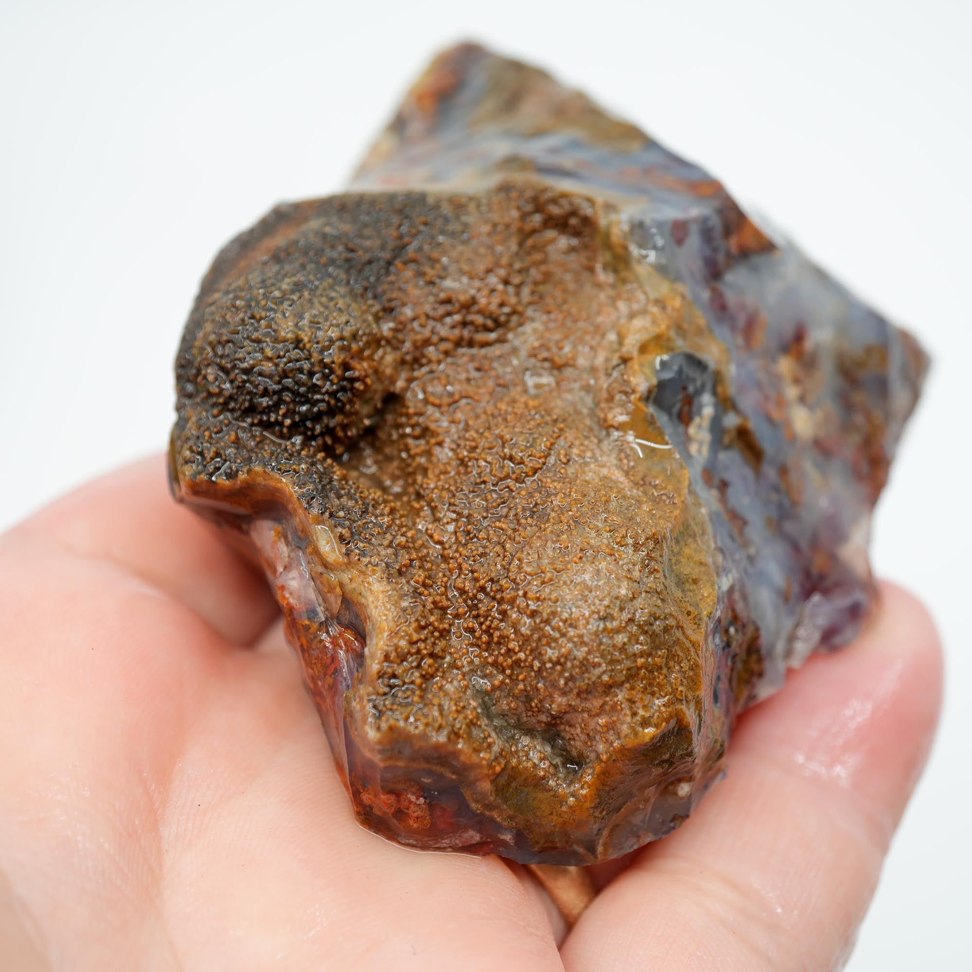 San Carlos Agate Rough - Brown Blue Orange with Botryoidal Top