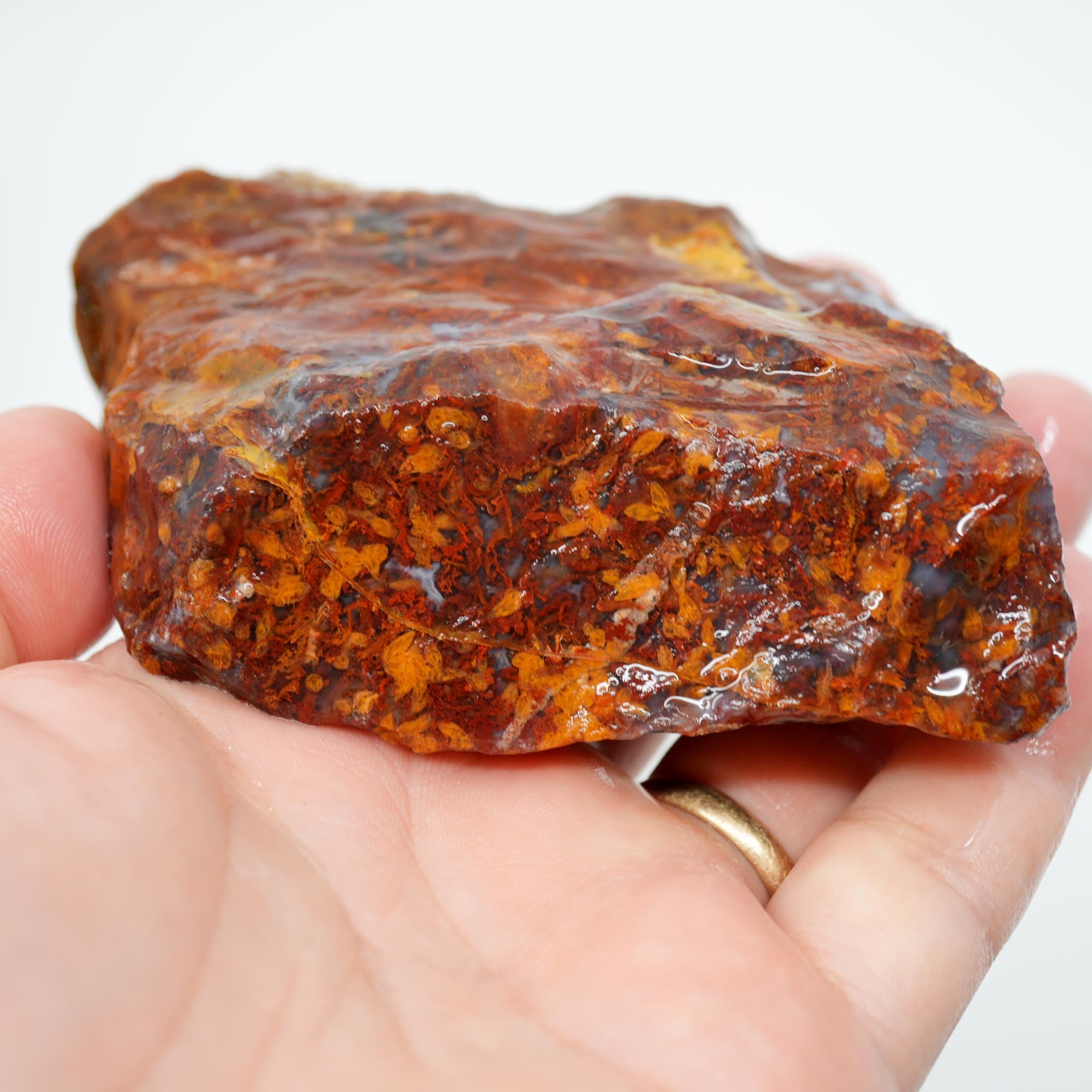 San Carlos Agate Rough - Bright Red Butterscotch Orange Unique Pattern