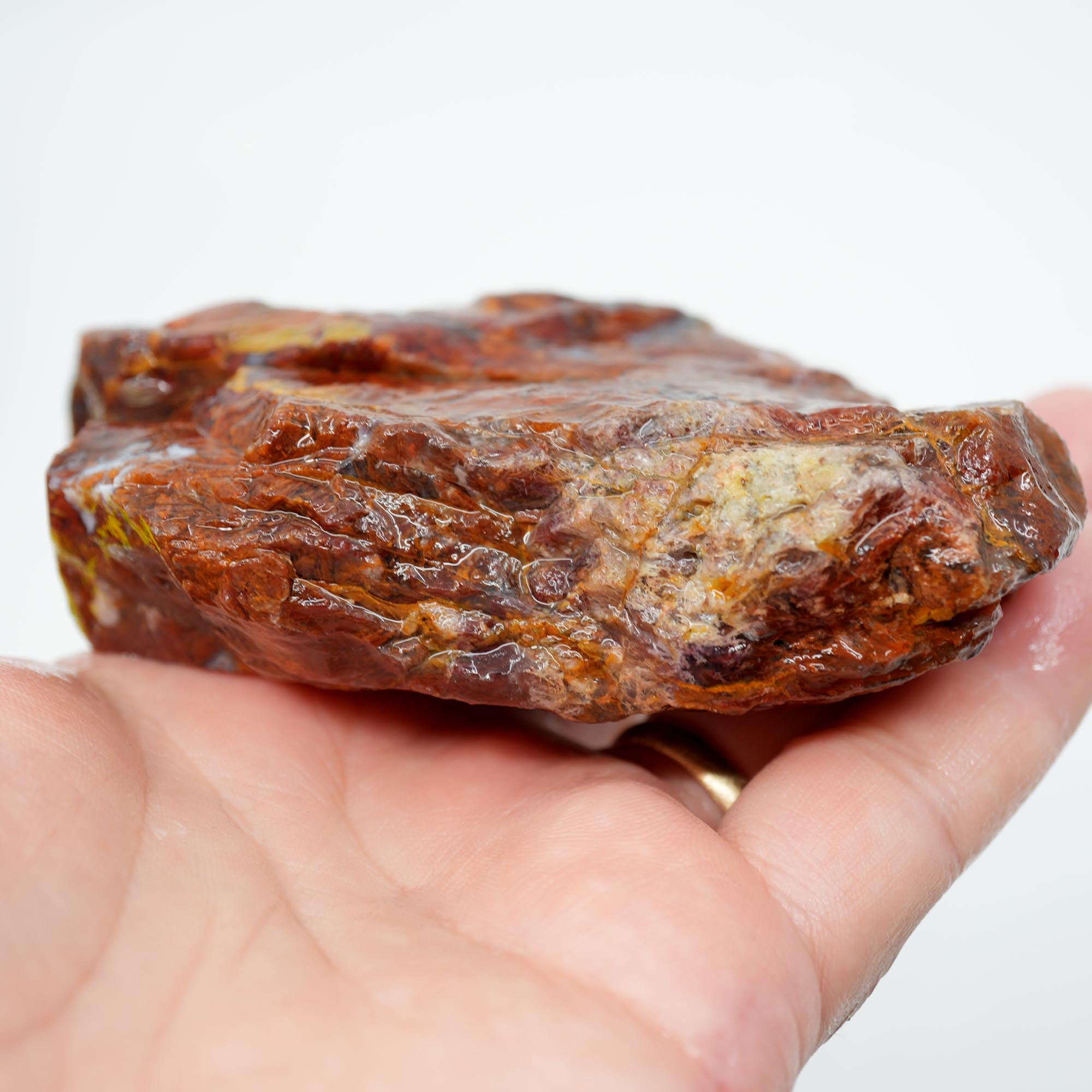 San Carlos Agate Rough - Bright Red Butterscotch Orange Unique Pattern