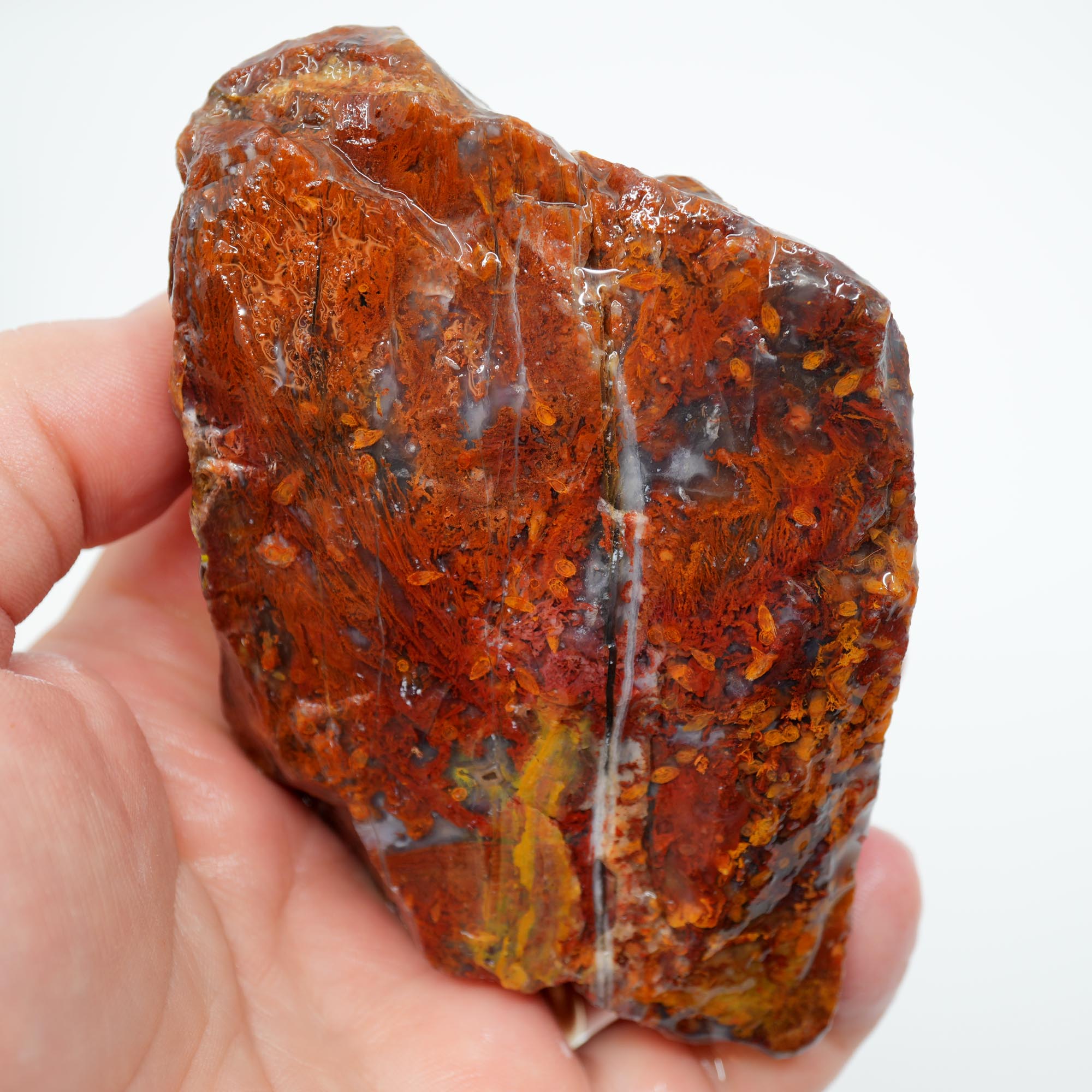 San Carlos Agate Rough - Bright Red Butterscotch Orange Unique Pattern