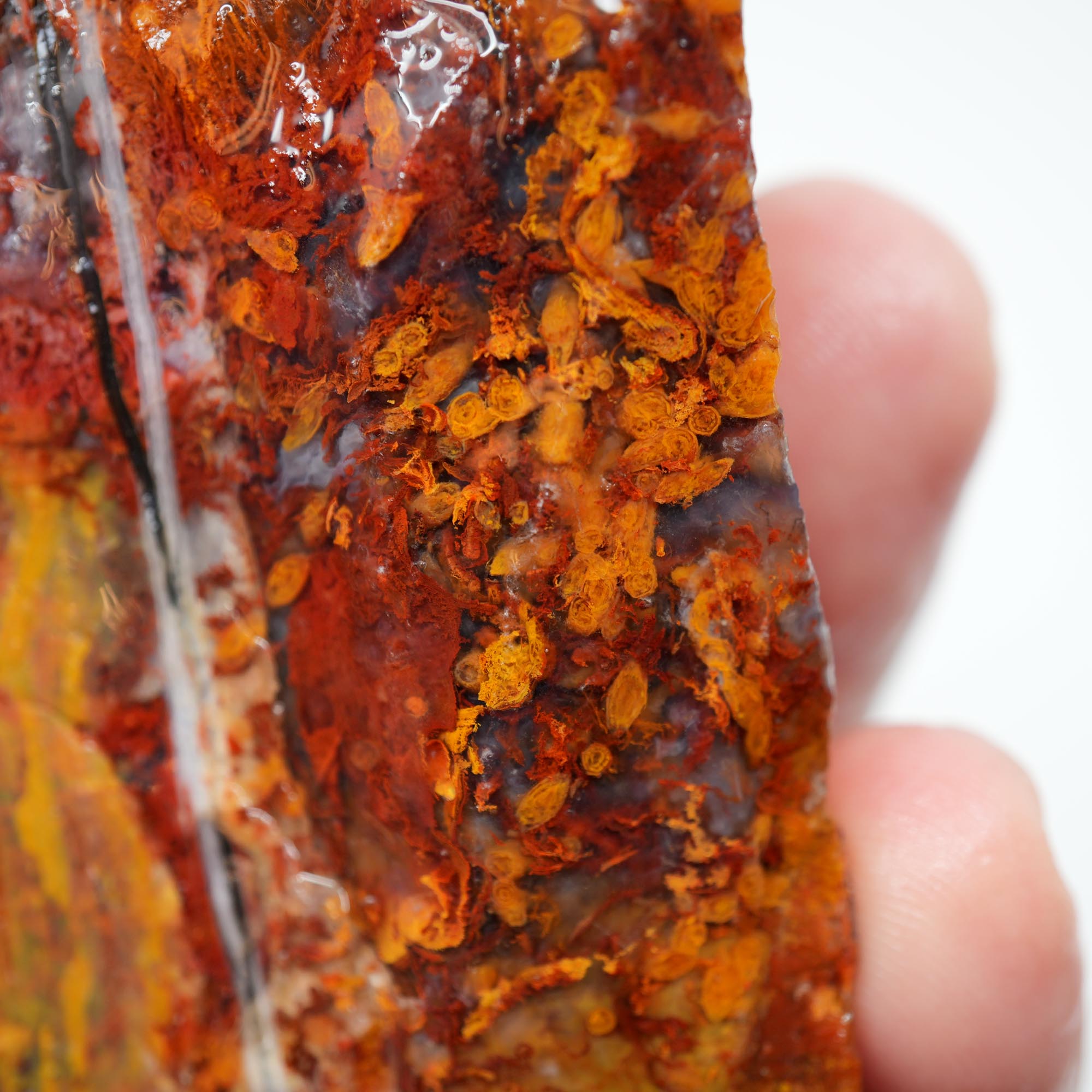 San Carlos Agate Rough - Bright Red Butterscotch Orange Unique Pattern