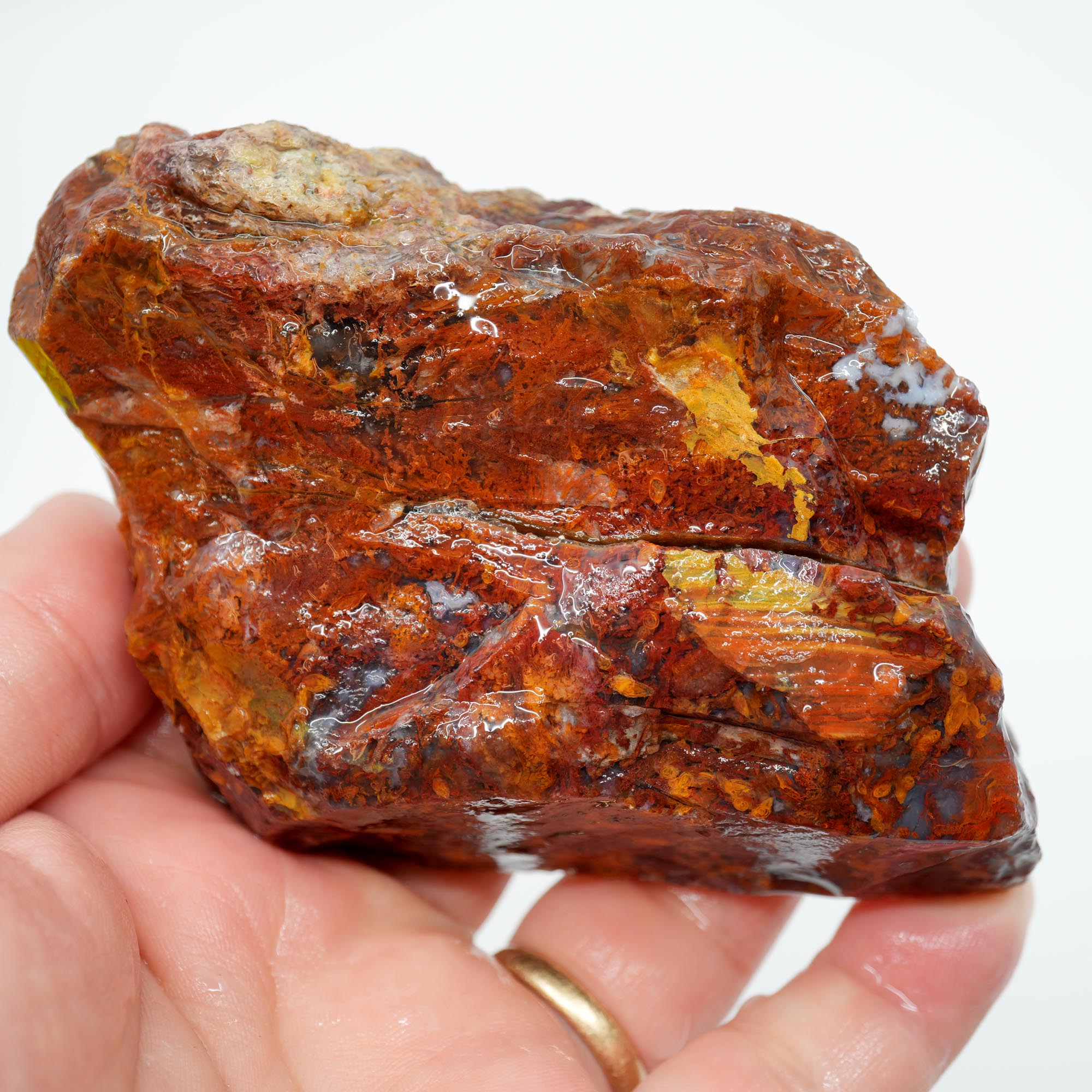 San Carlos Agate Rough - Bright Red Butterscotch Orange Unique Pattern