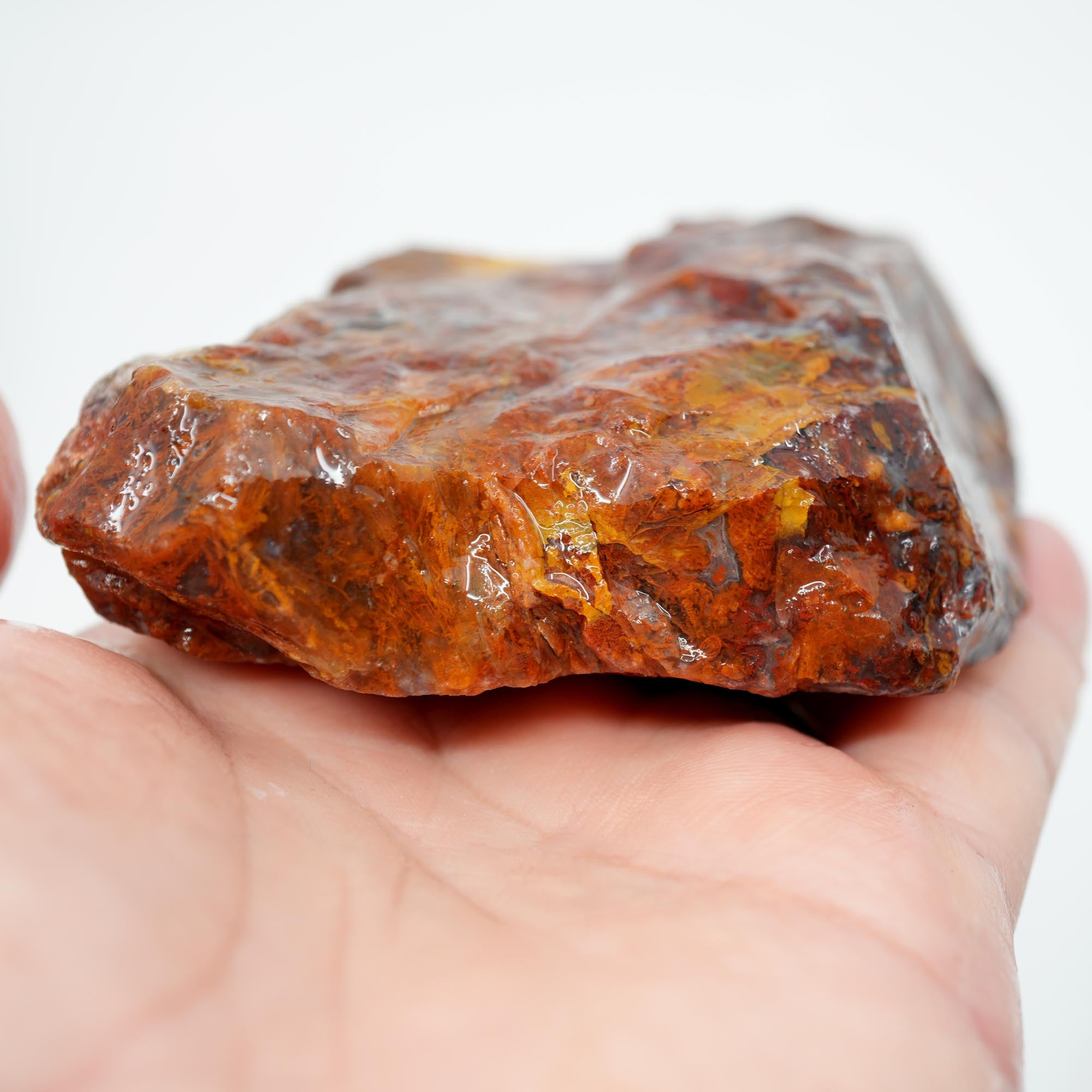 San Carlos Agate Rough - Bright Red Butterscotch Orange Unique Pattern