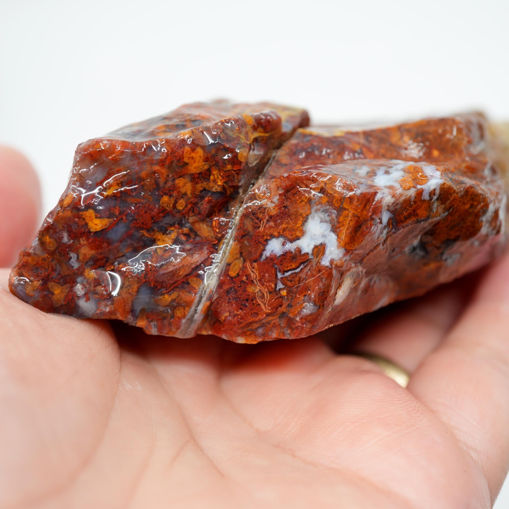 San Carlos Agate Rough - Bright Red Butterscotch Orange Unique Pattern