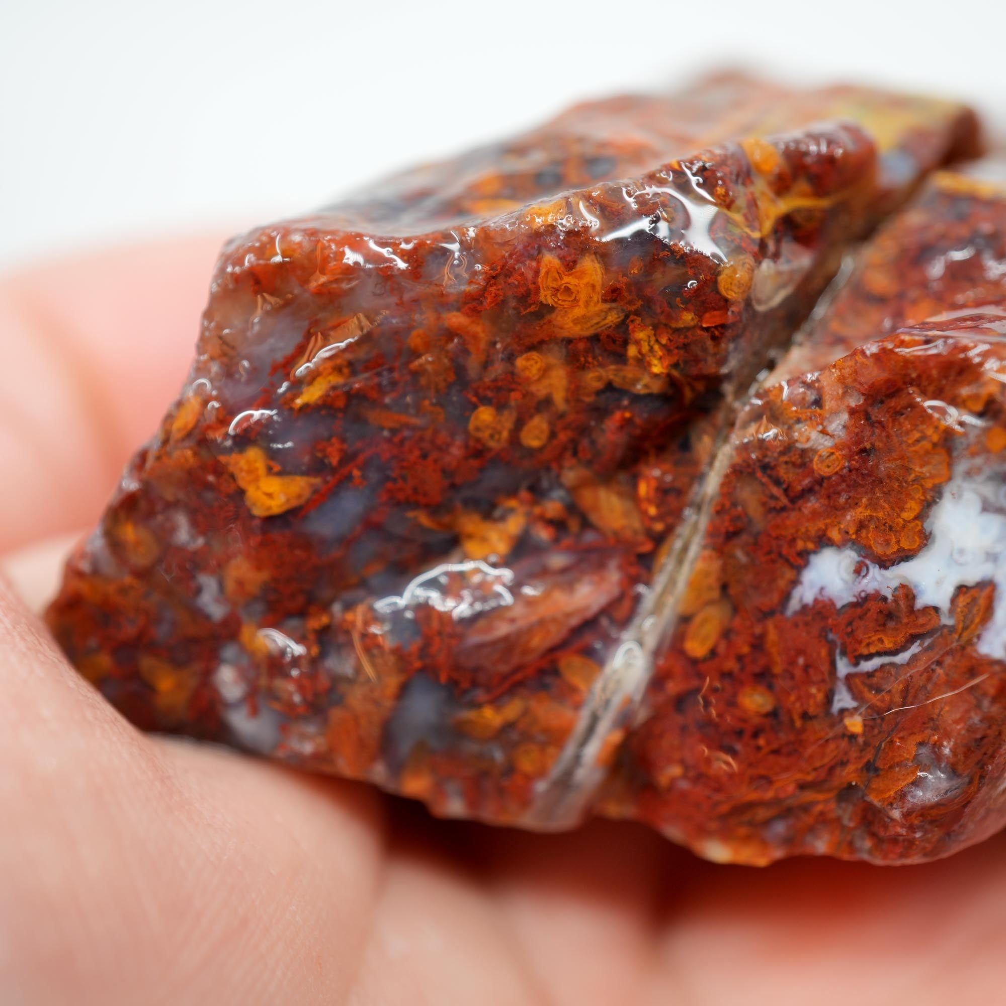 San Carlos Agate Rough - Bright Red Butterscotch Orange Unique Pattern