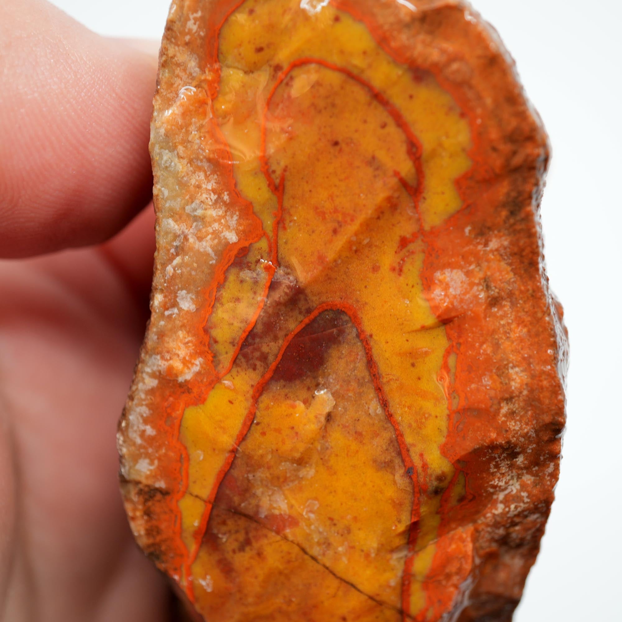 Alabama Paint Agate Rough - Gorgeous Orange with Red Orbicular Outline
