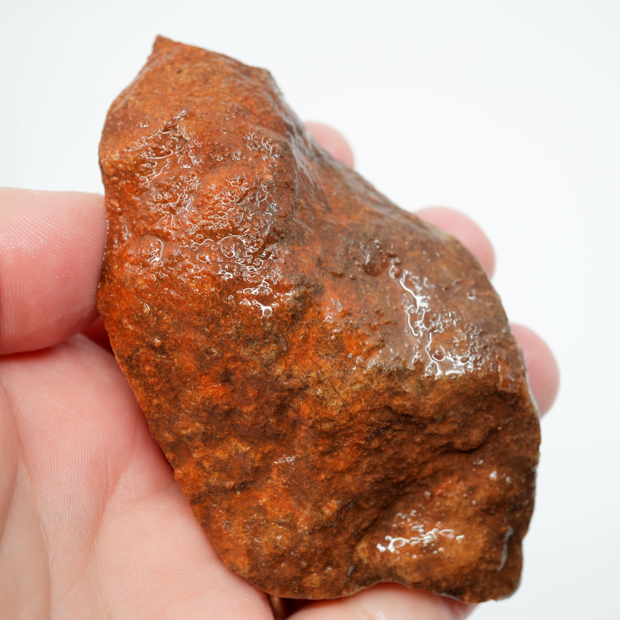 Alabama Paint Agate Rough - Gorgeous Orange with Red Orbicular Outline