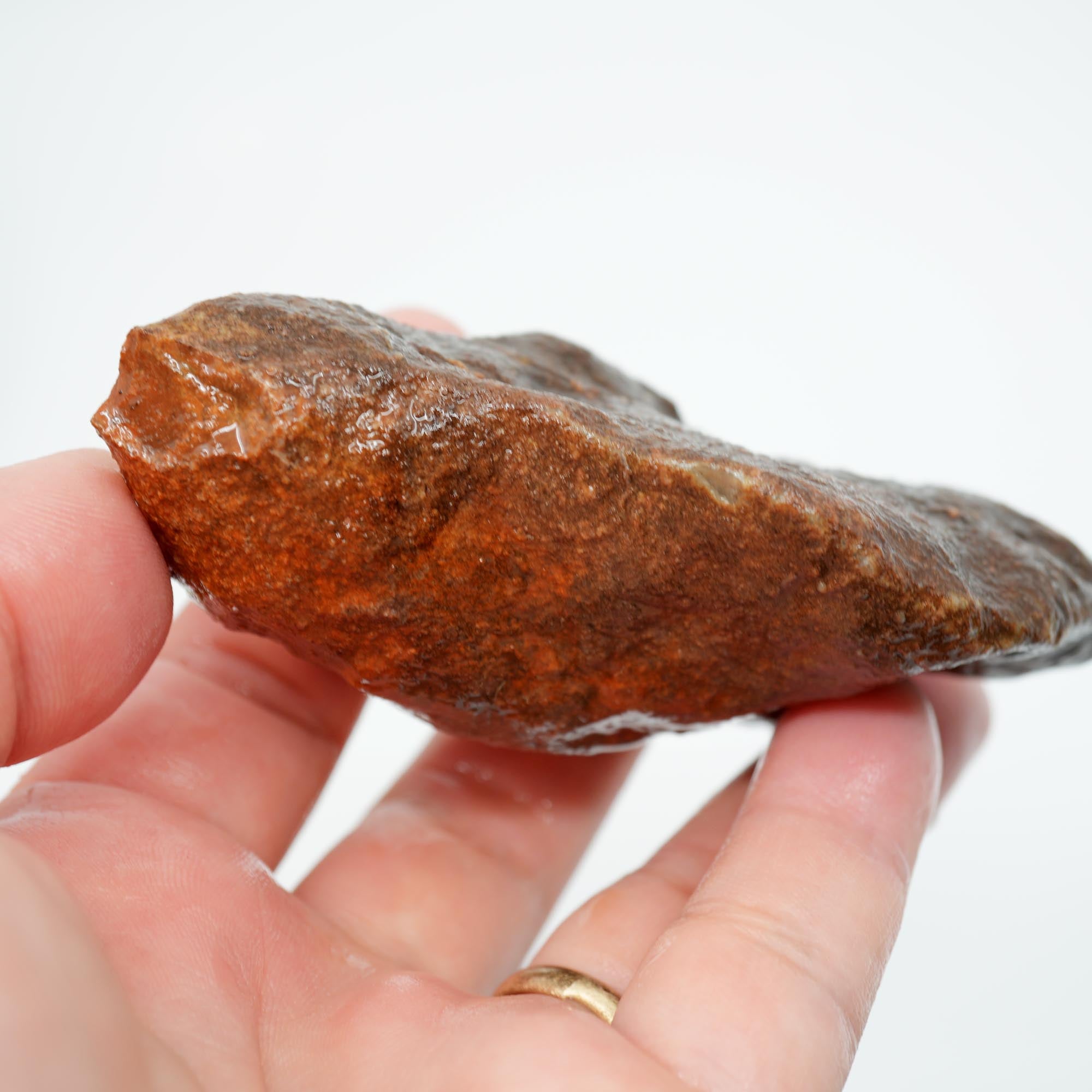 Alabama Paint Agate Rough - Gorgeous Orange with Red Orbicular Outline