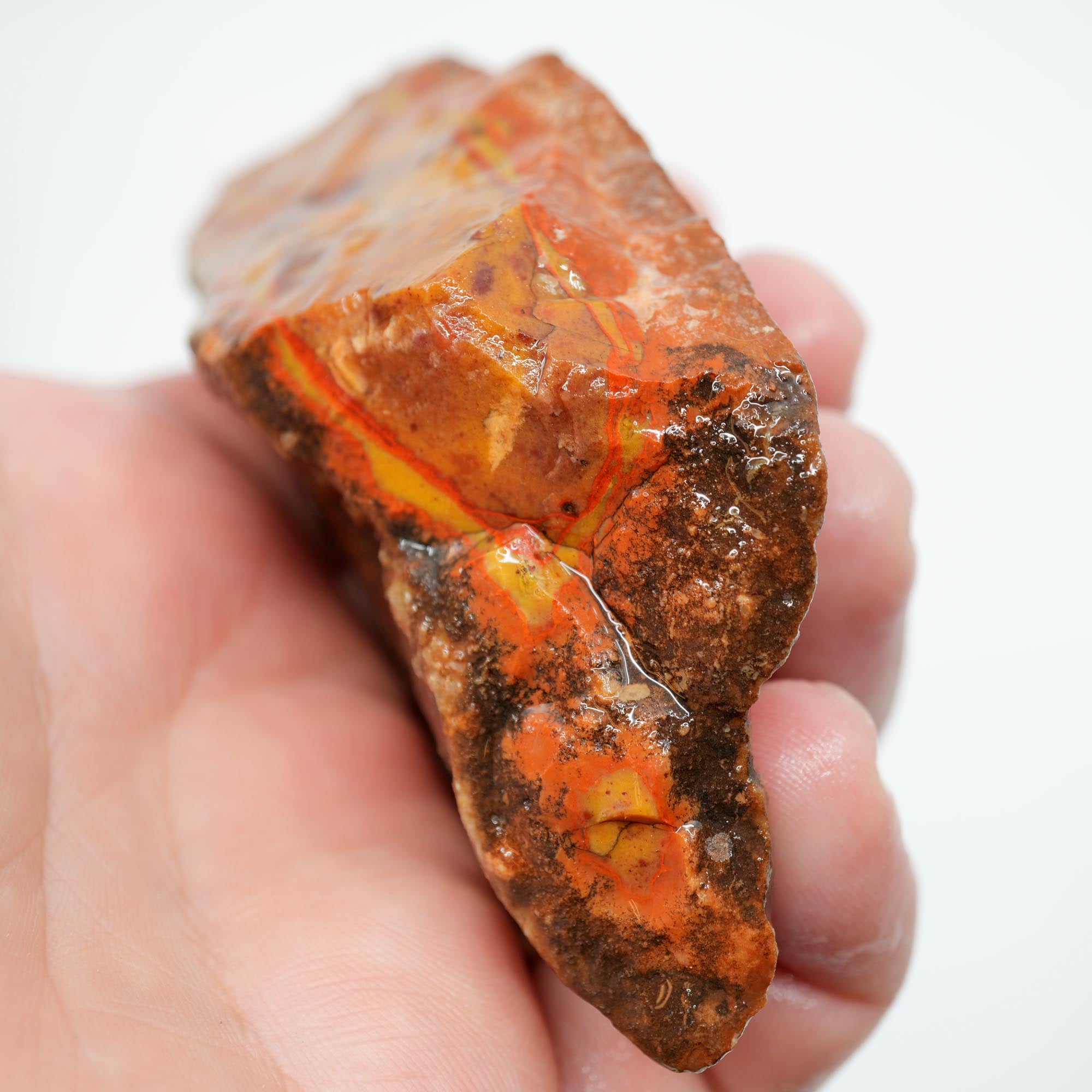 Alabama Paint Agate Rough - Gorgeous Orange with Red Orbicular Outline