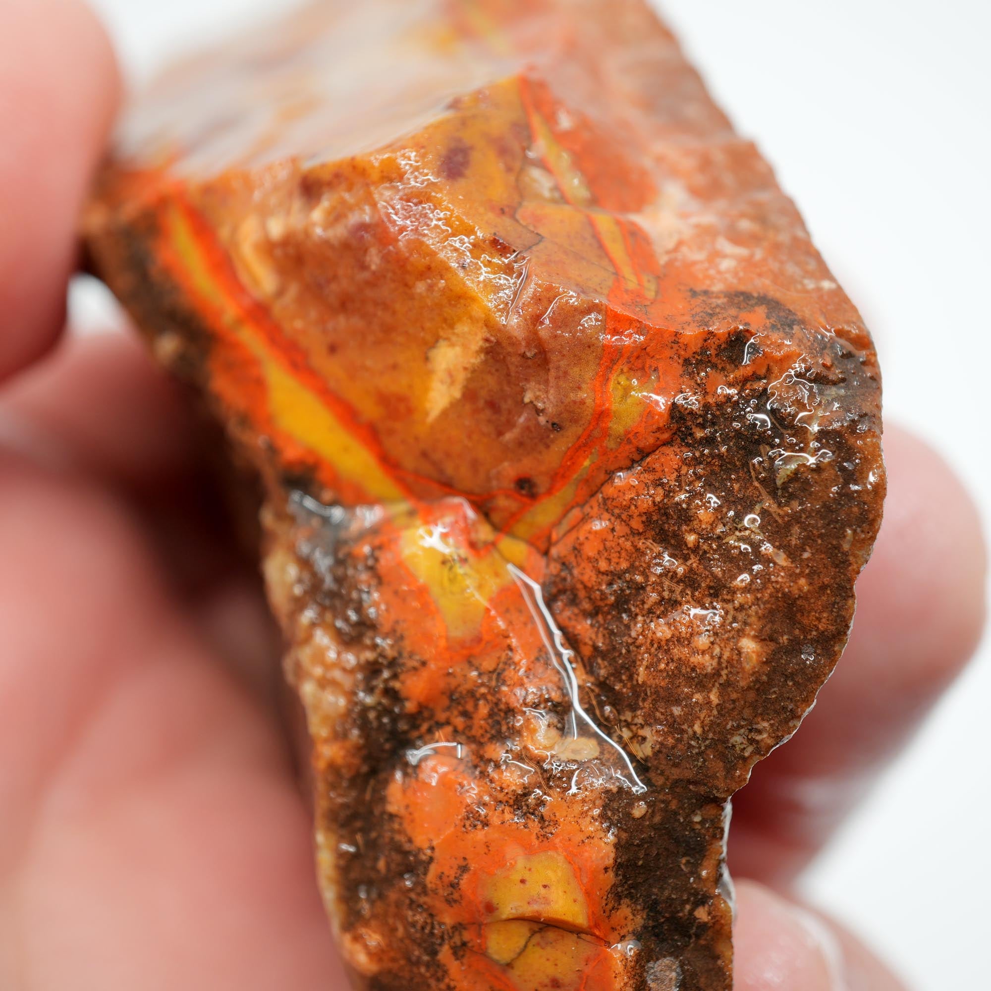 Alabama Paint Agate Rough - Gorgeous Orange with Red Orbicular Outline