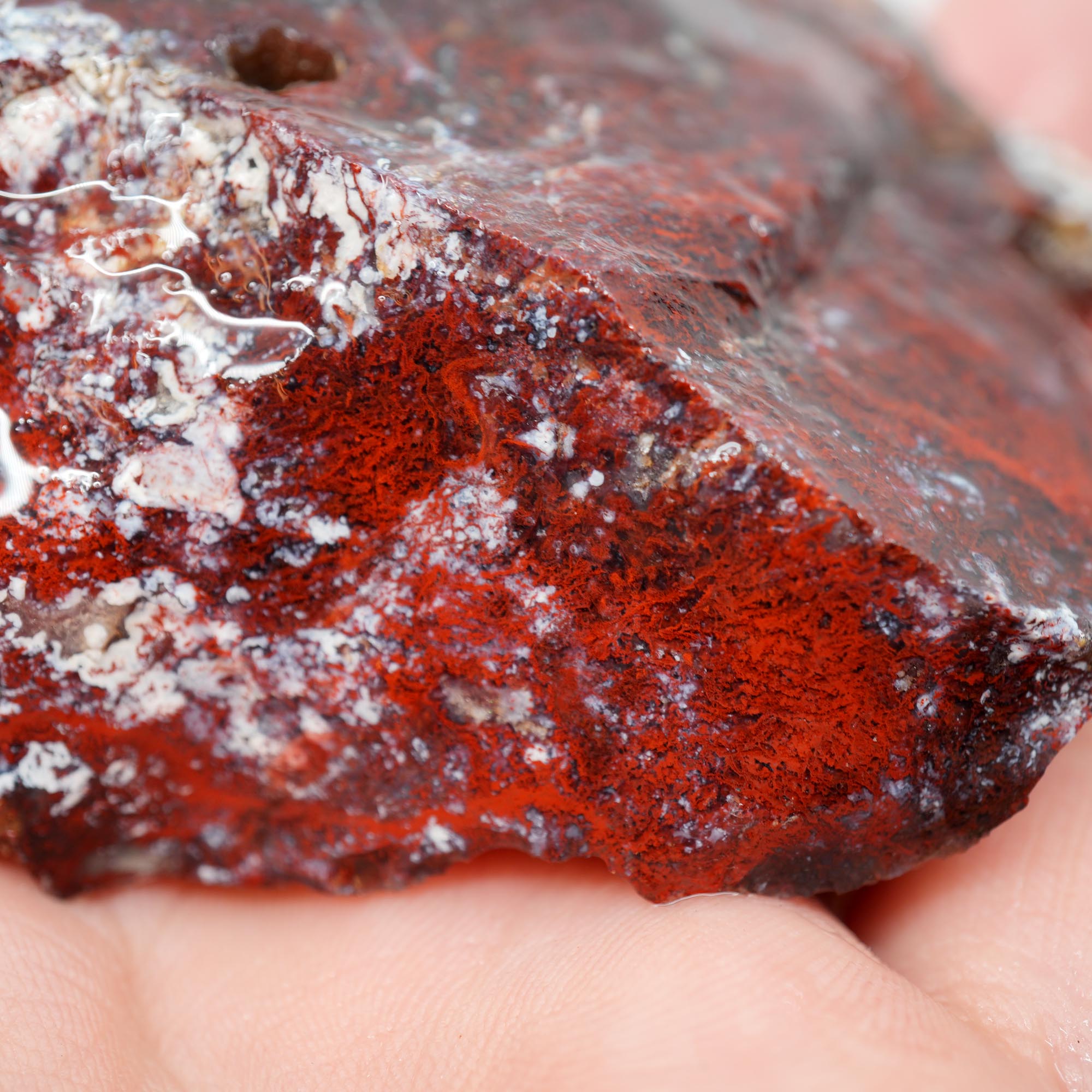 San Carlos Agate Rough - Very Bright Red with High Contrast Moss