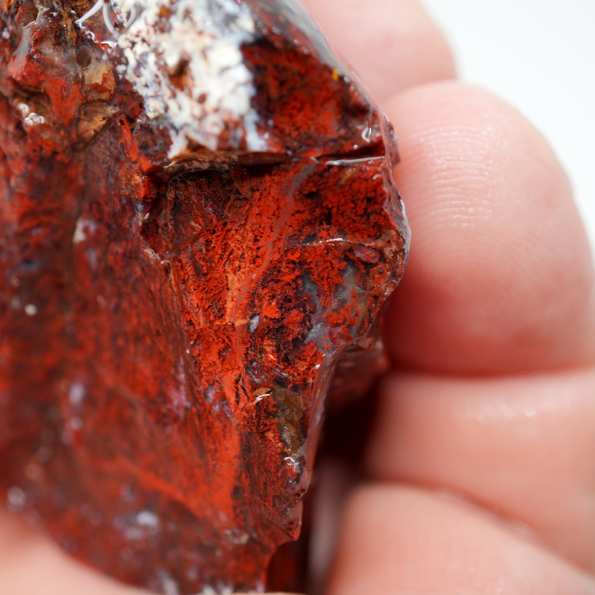 San Carlos Agate Rough - Very Bright Red with High Contrast Moss