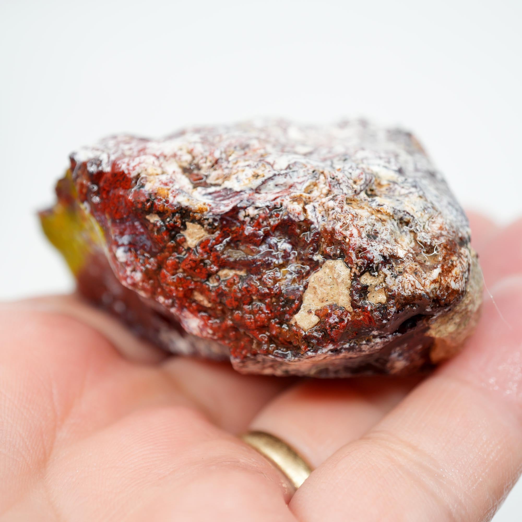 San Carlos Agate Rough - Very Bright Red with High Contrast Moss
