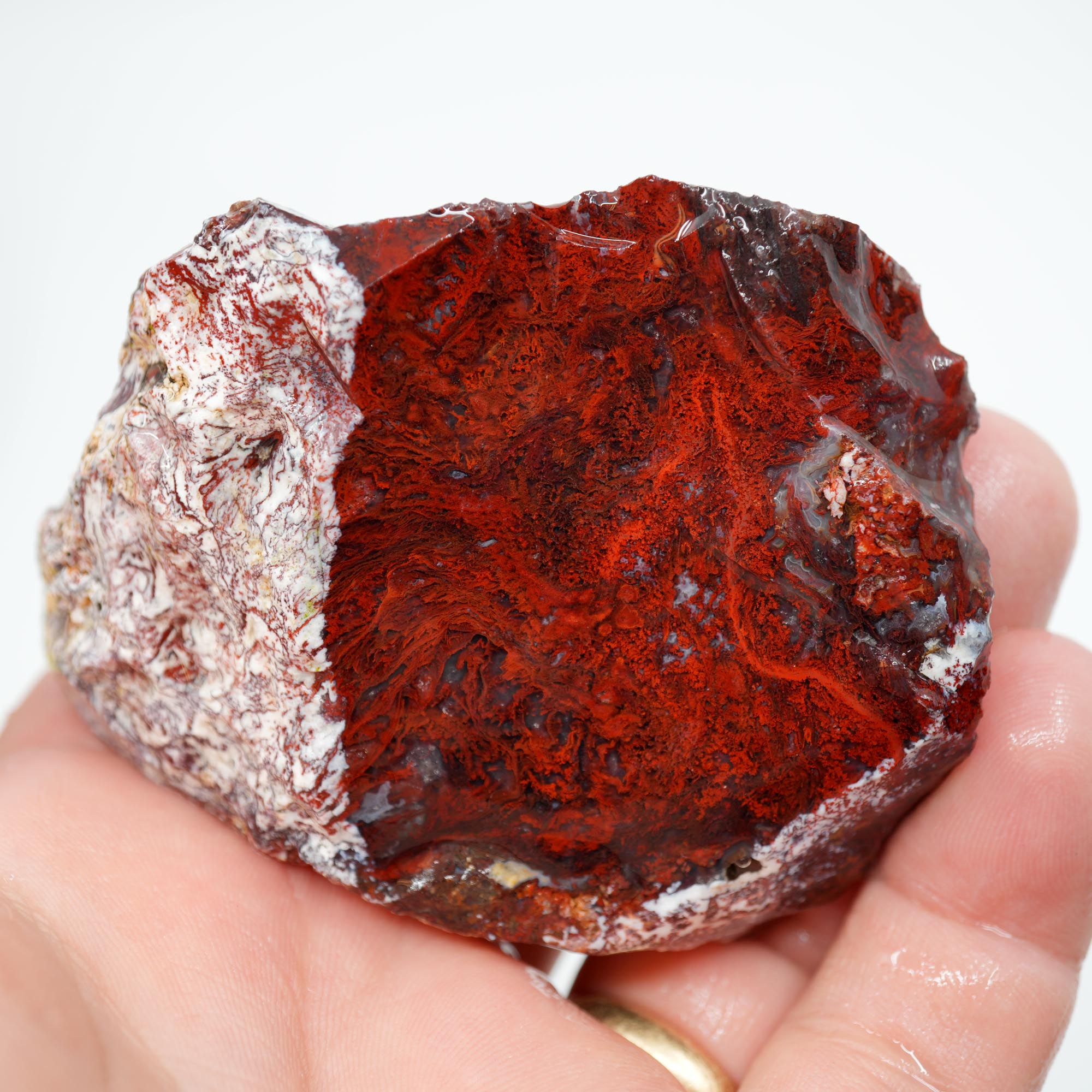 San Carlos Agate Rough - Very Bright Red with High Contrast Moss