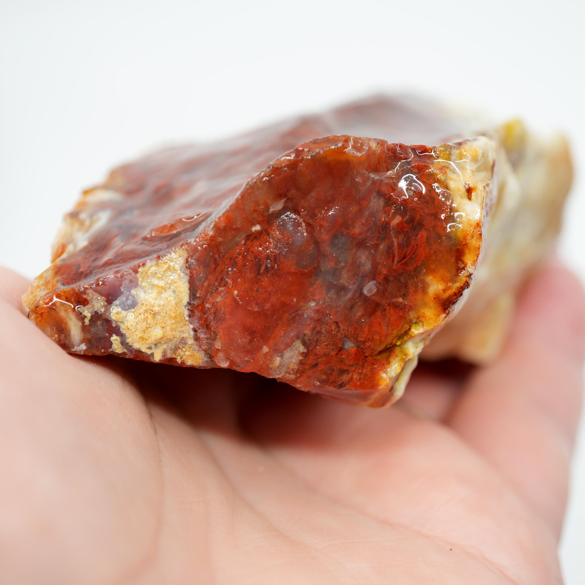 Red Velvet Agate Rough - Bright Red Pattern with Opalite Top Trimmer