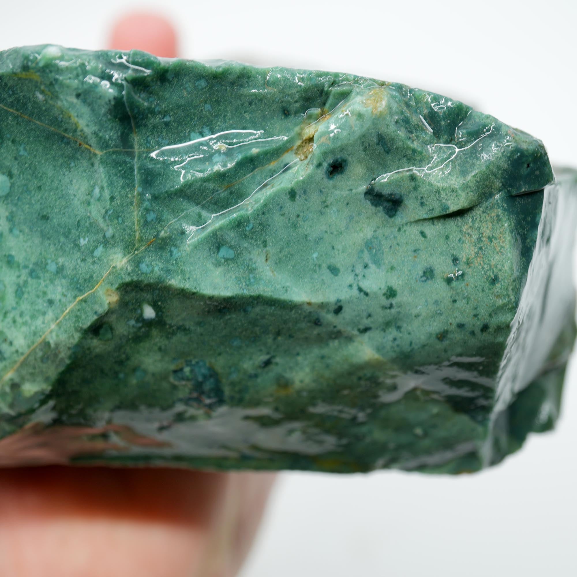 India Bloodstone Rough - Green Red Ocean Jasper-Like Dots Large Block